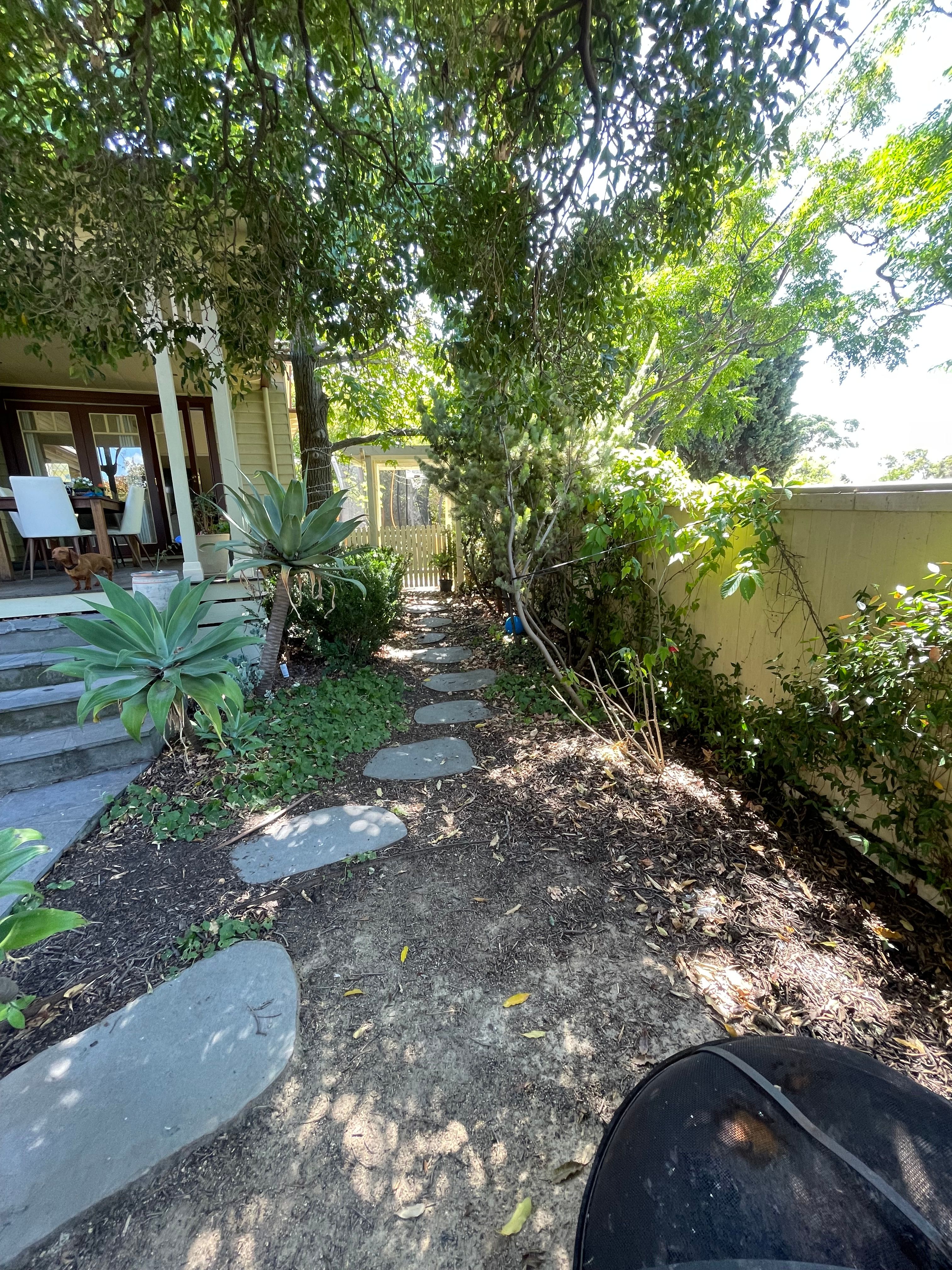 image-14