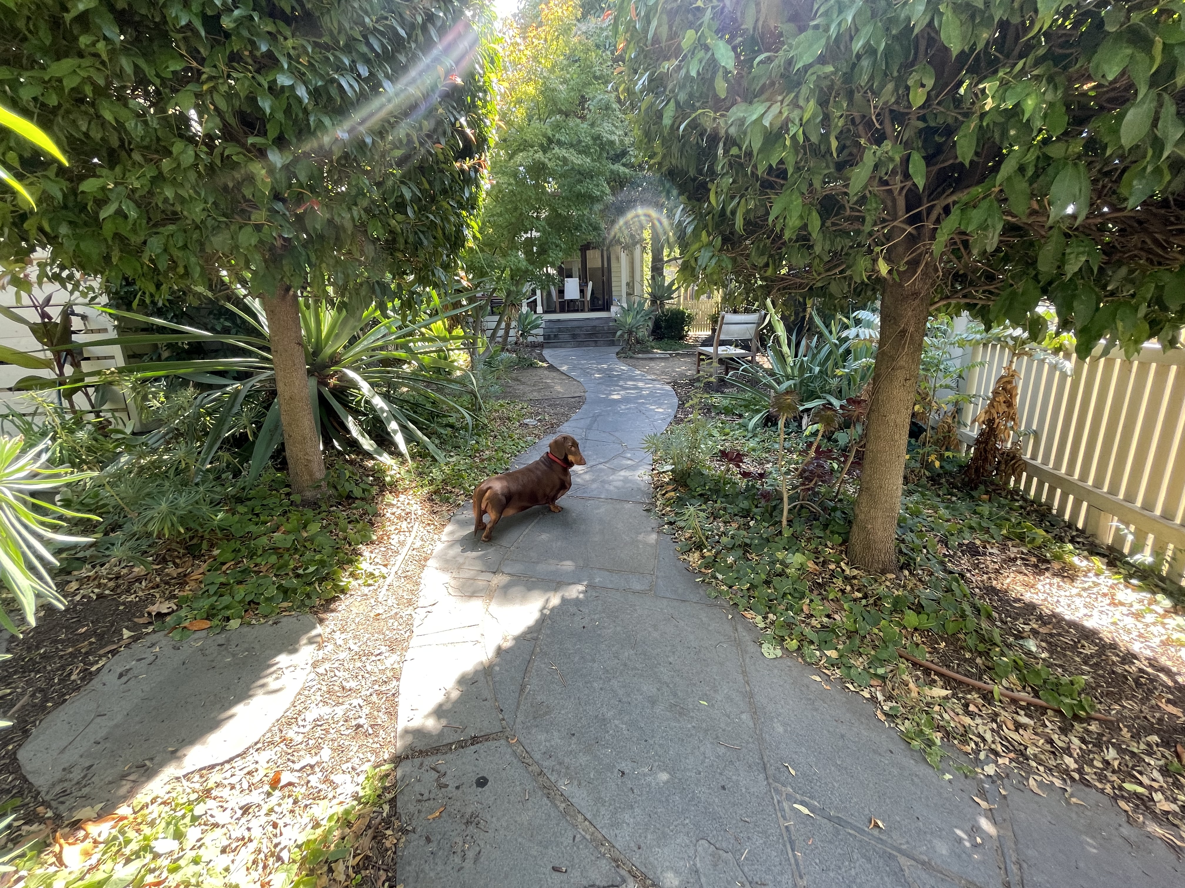 image-13