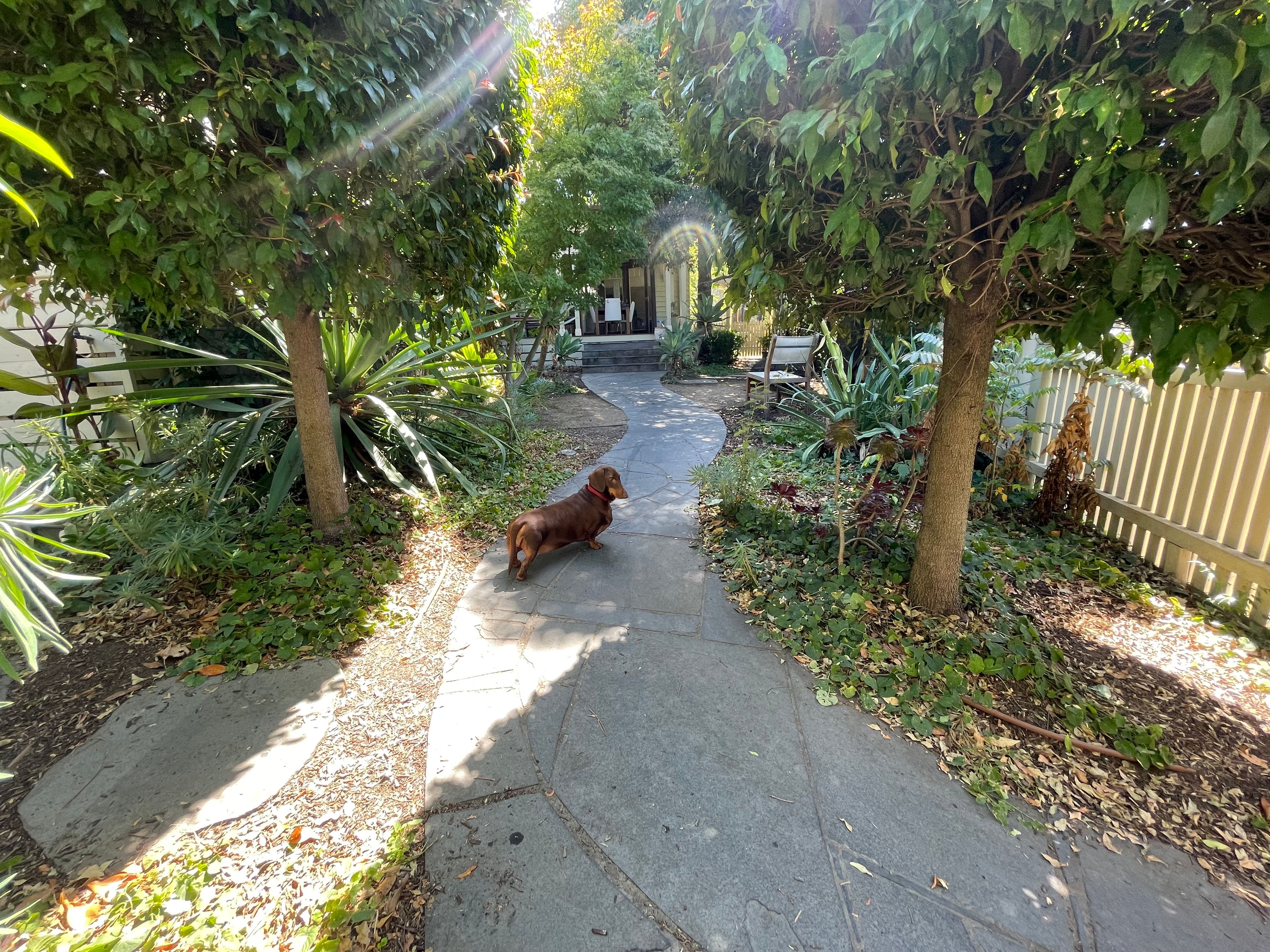 image-13