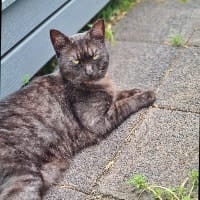 Kaiser