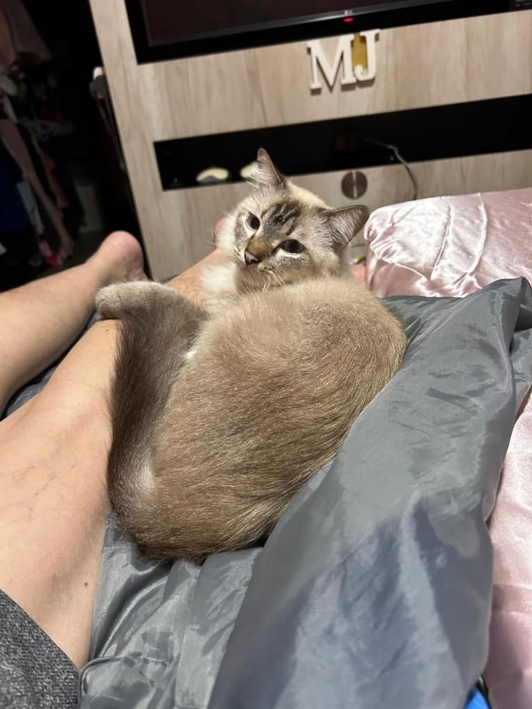 Kahlua