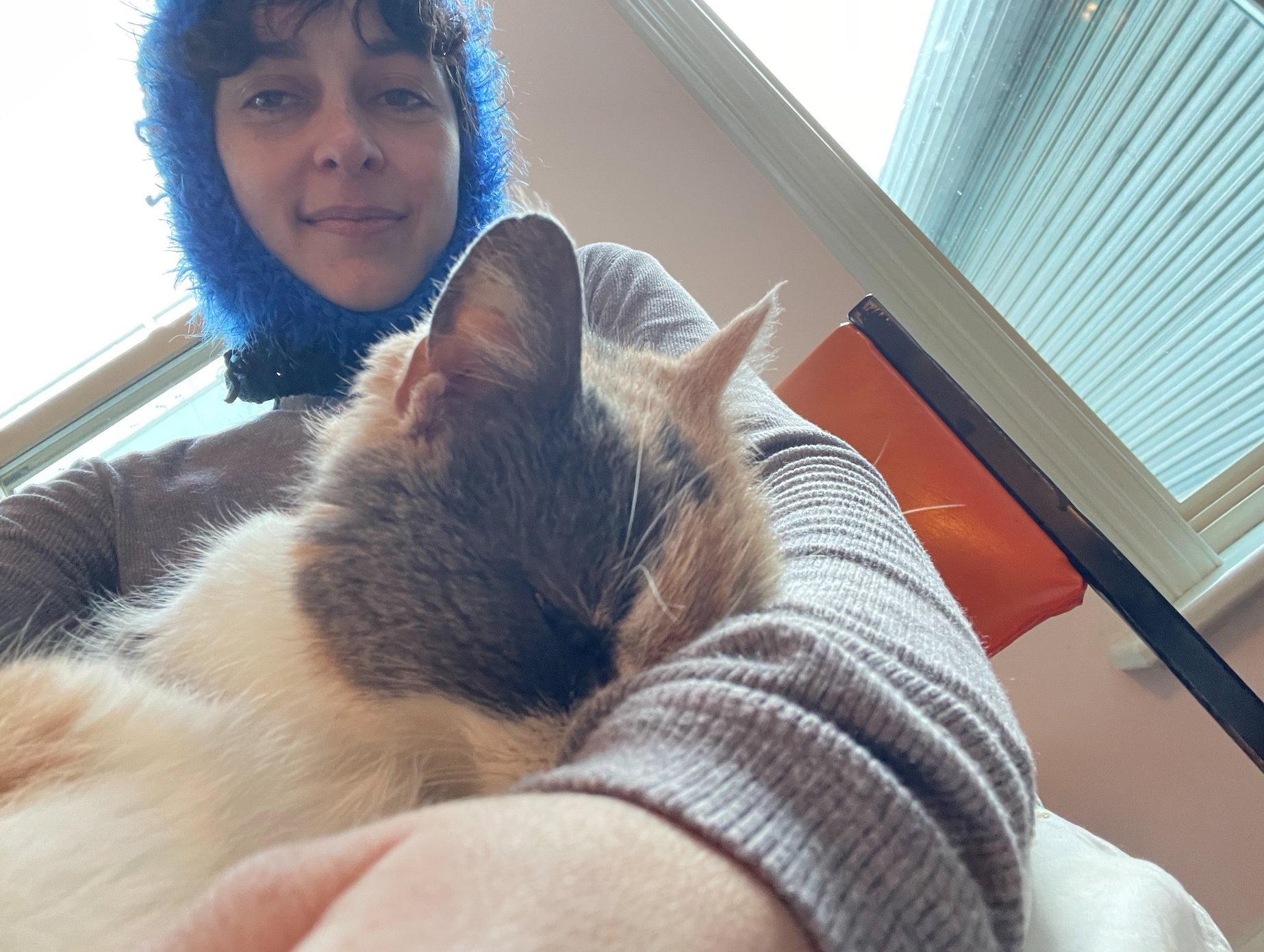 image-6
