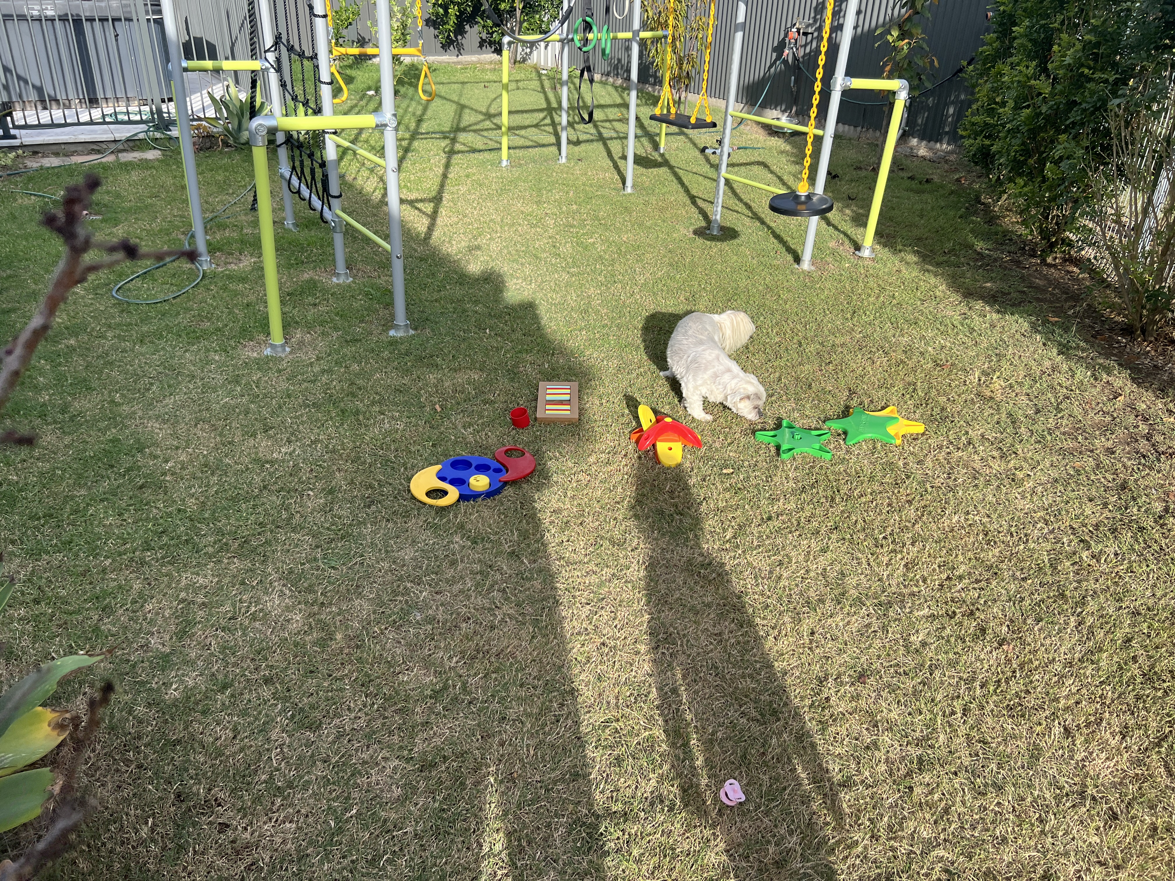 image-13