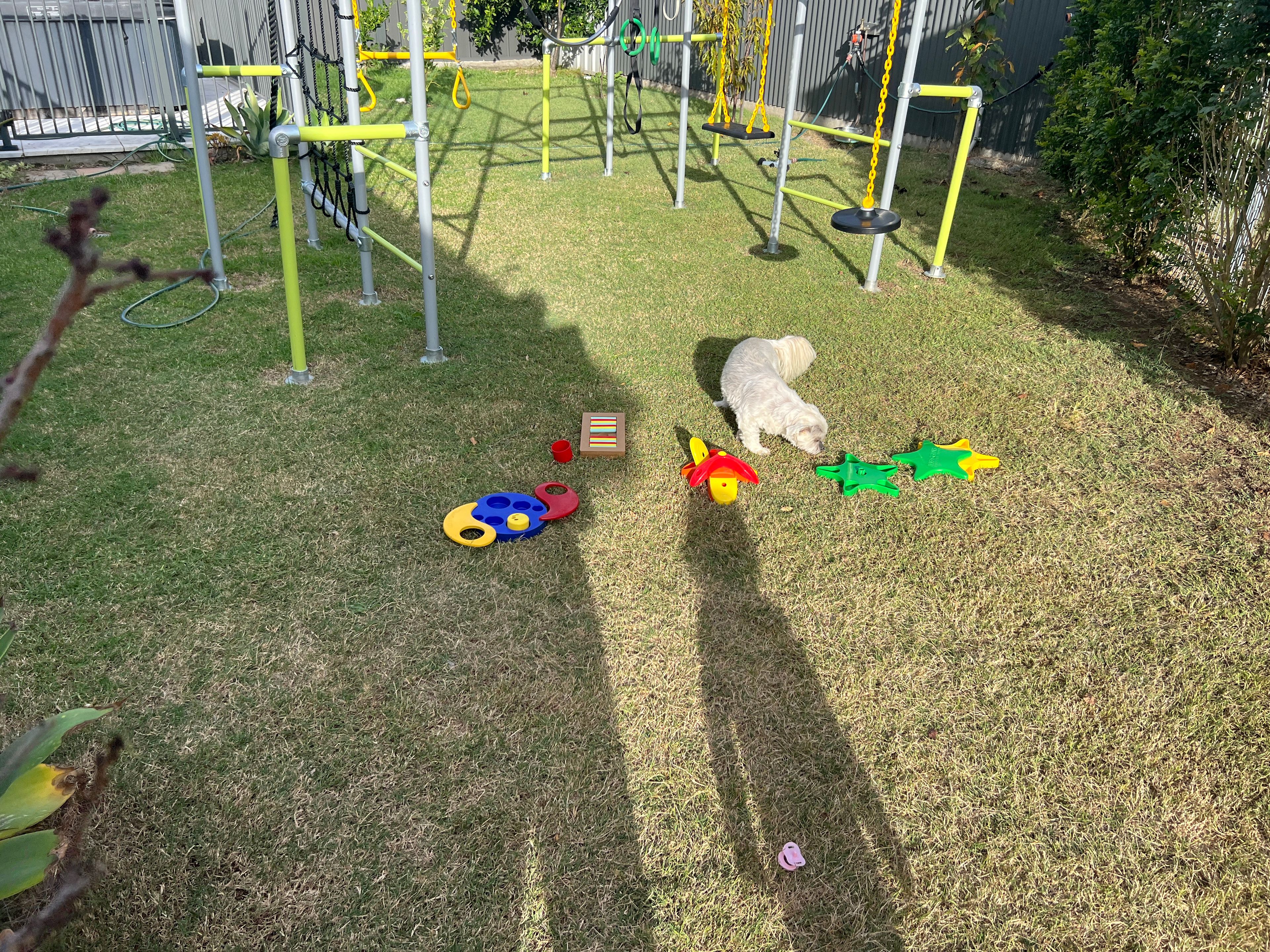 image-13