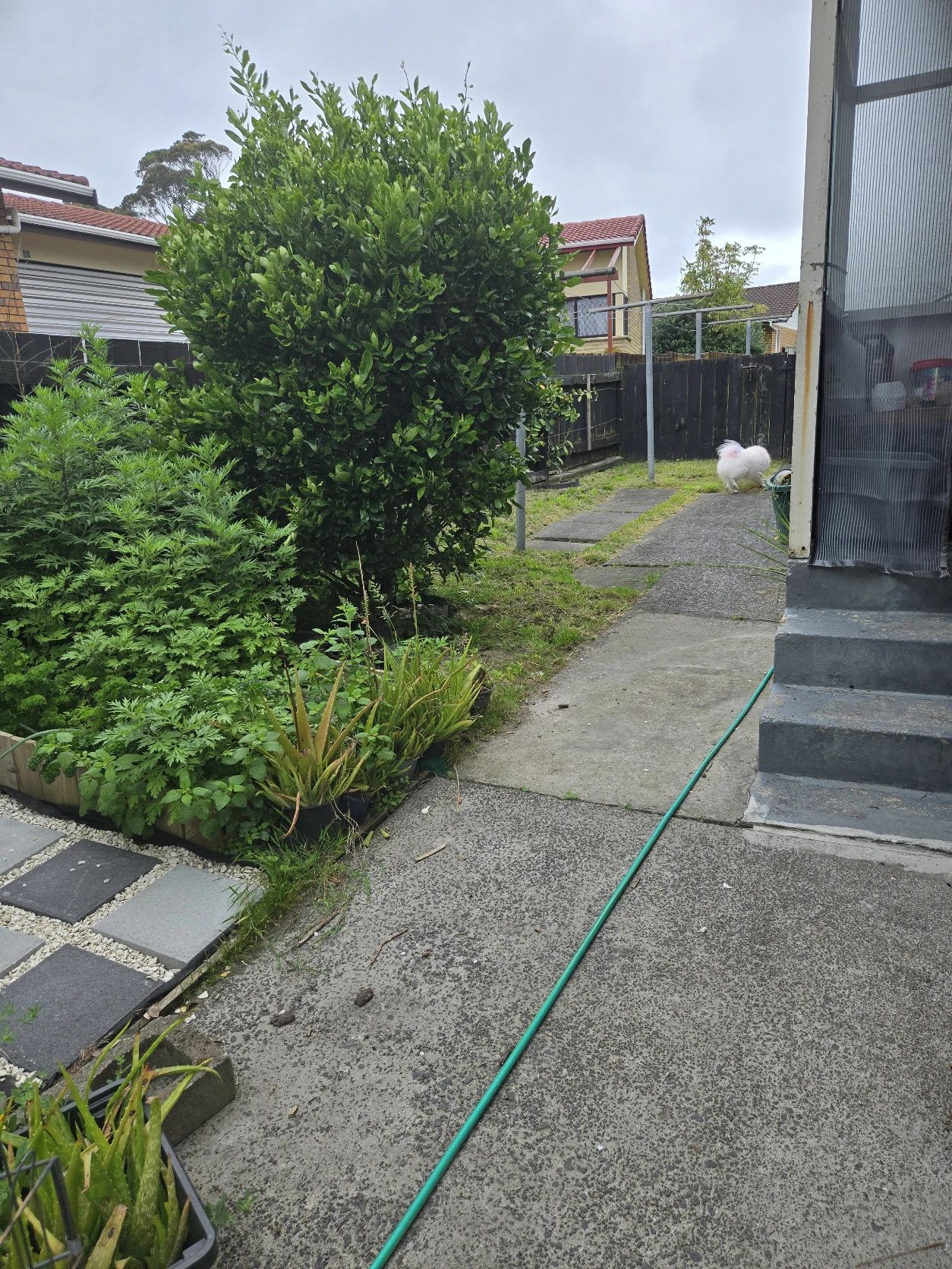 image-14