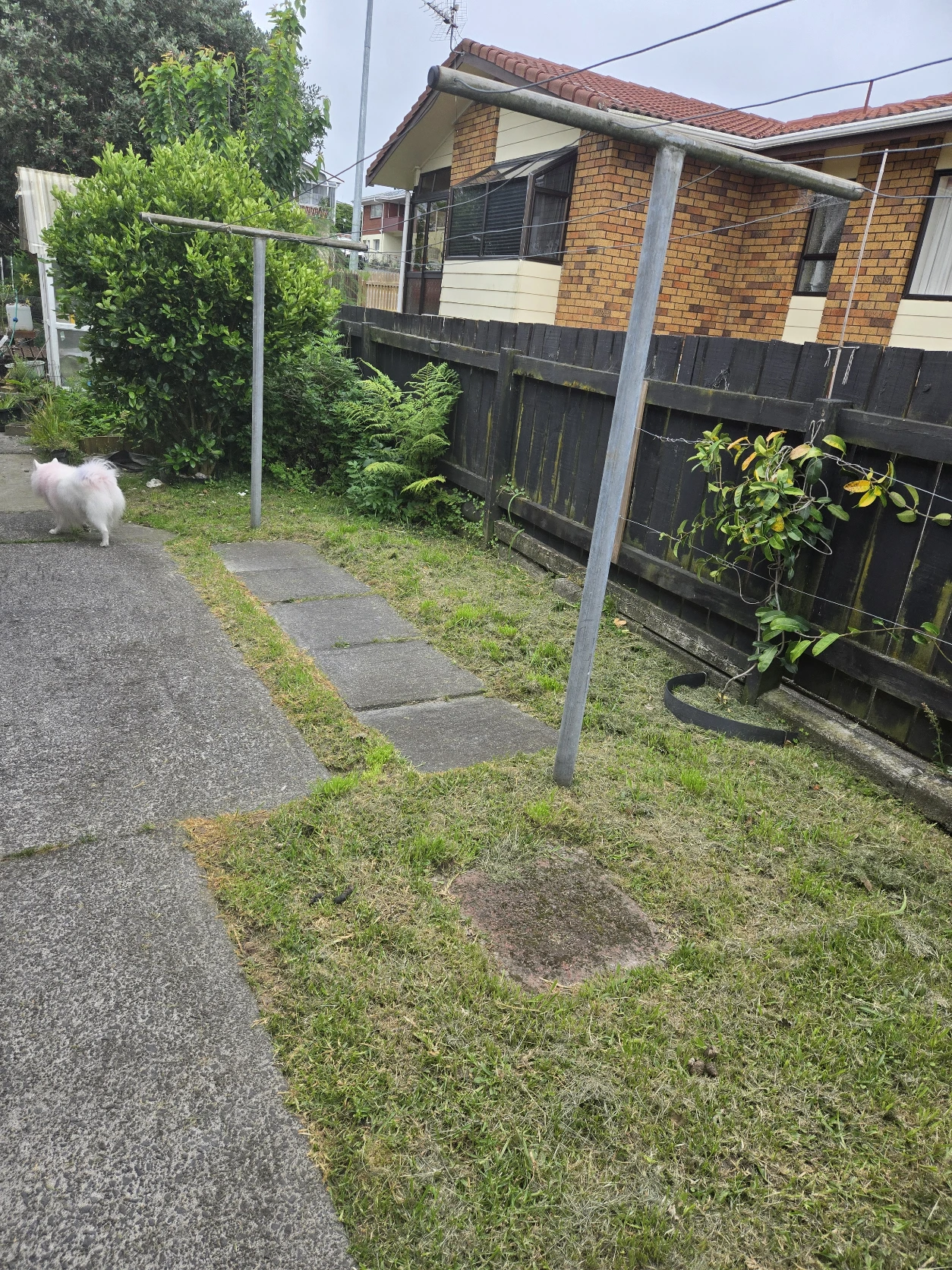 image-13