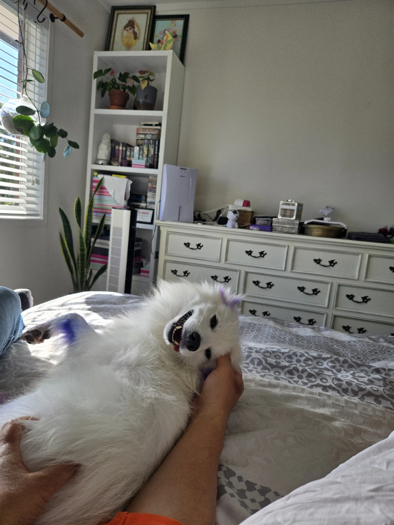 image-5