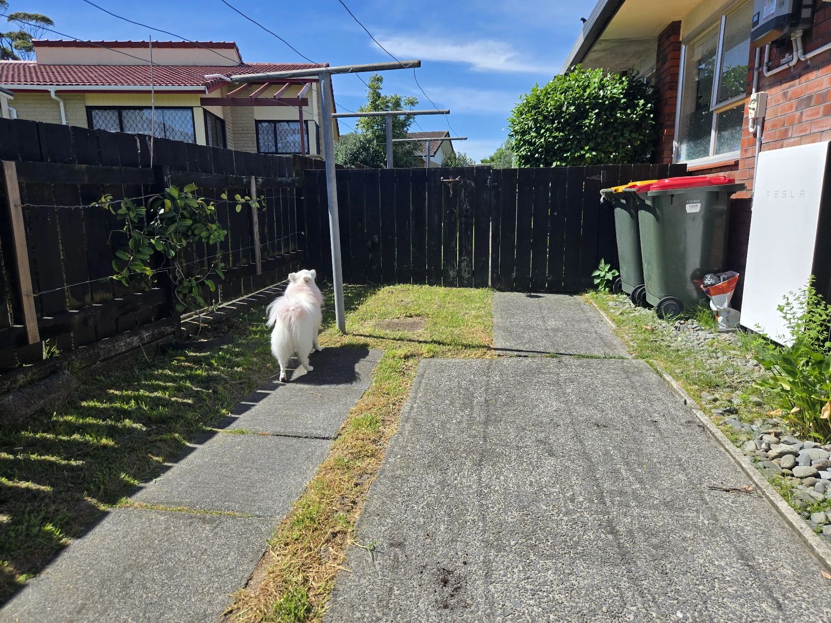 image-18