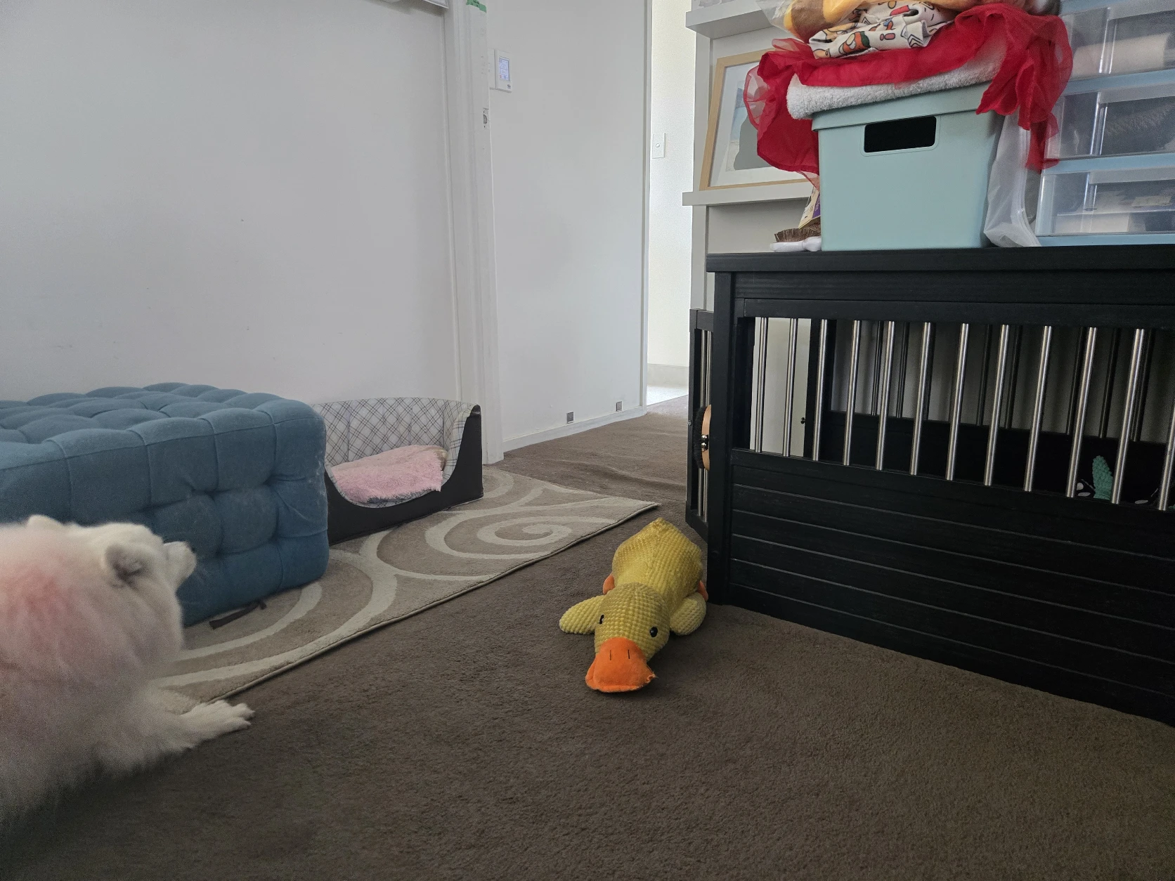 image-16