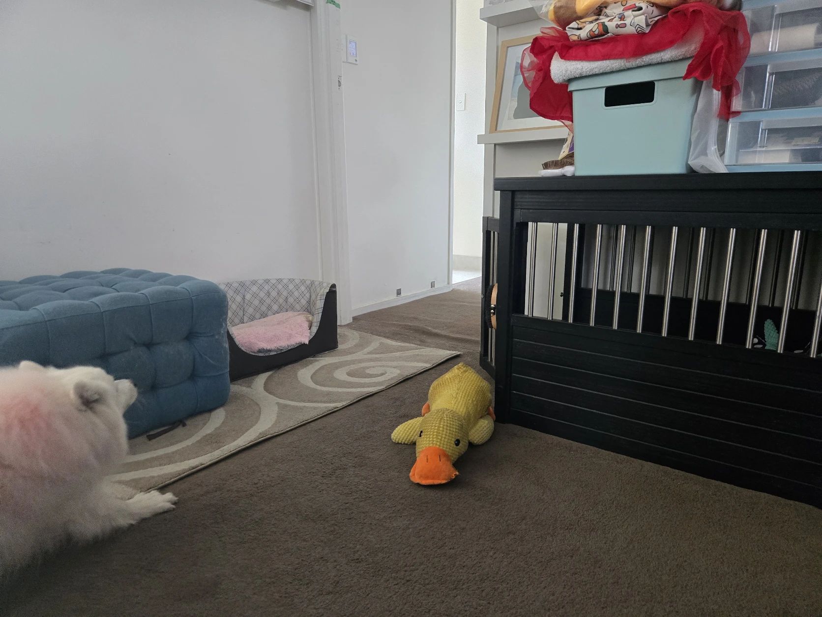 image-16