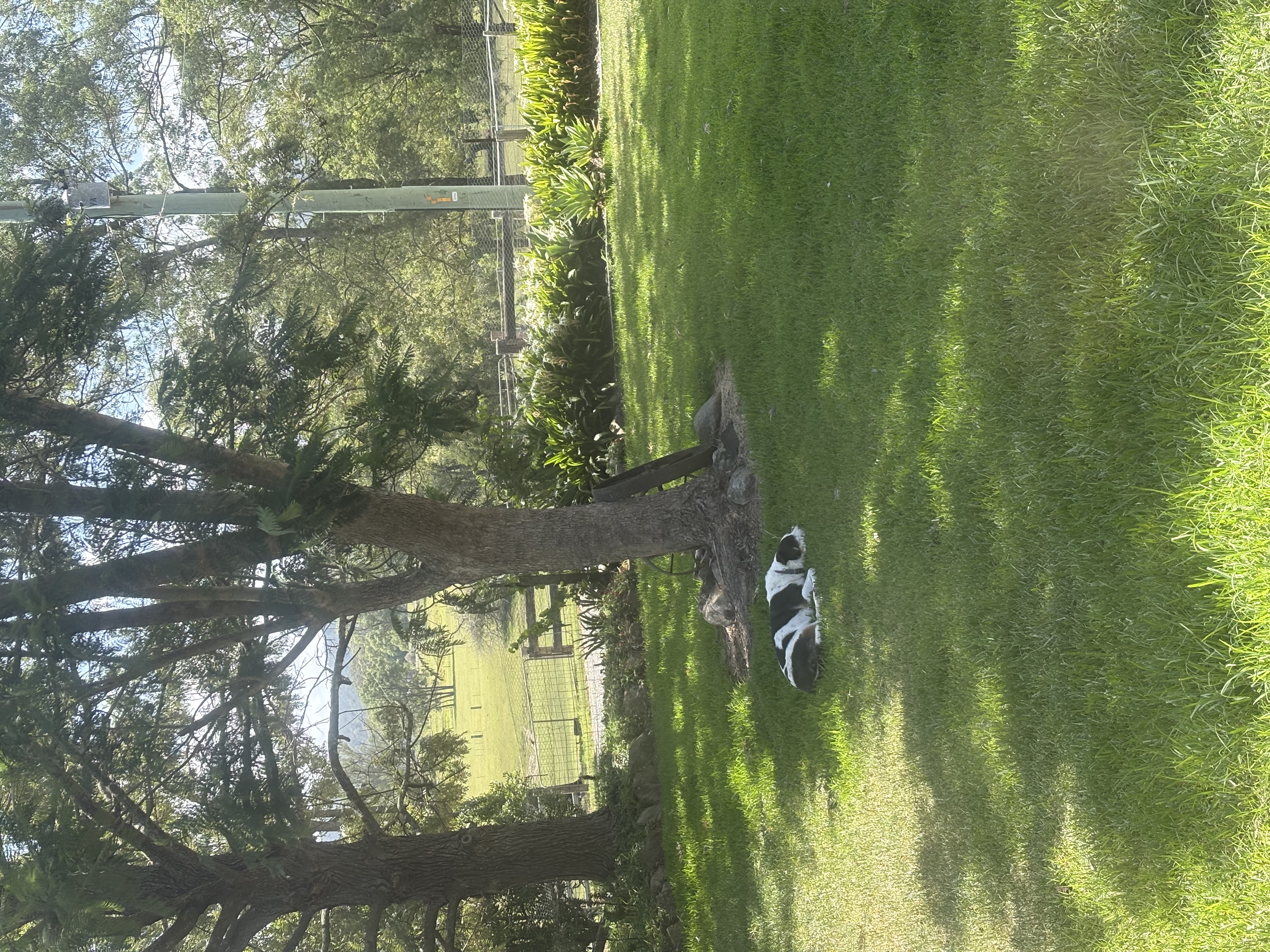 image-15