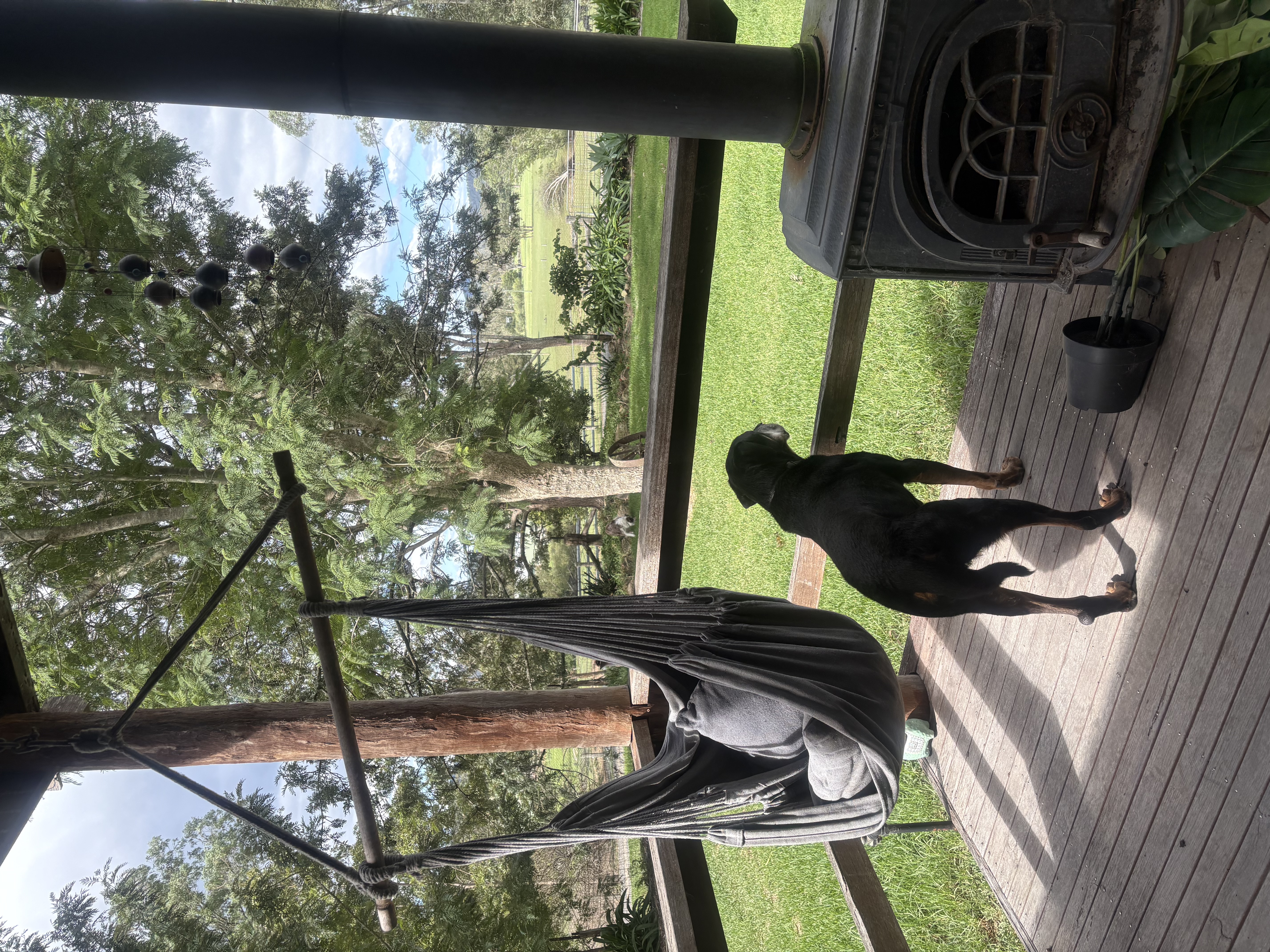 image-13