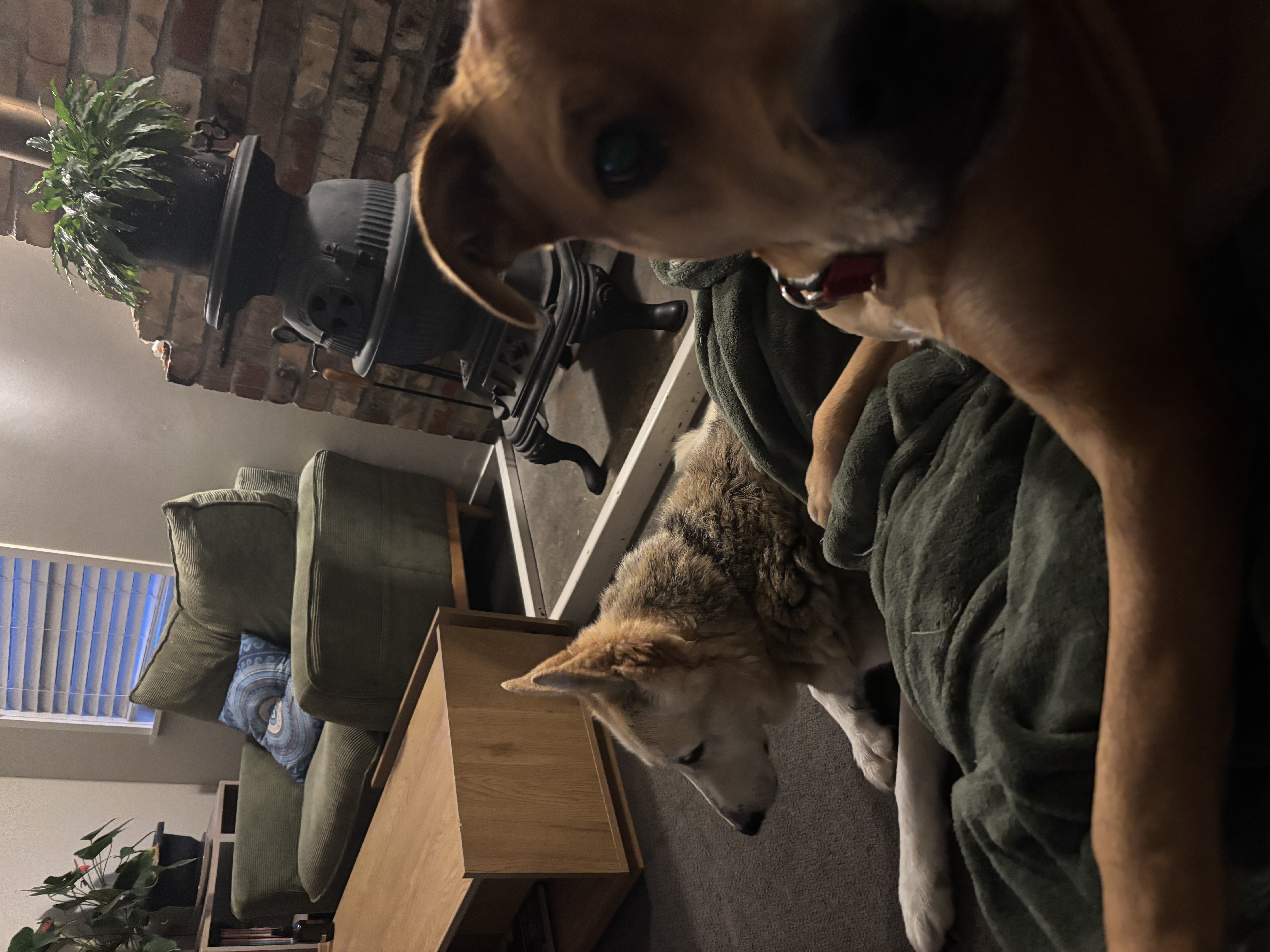 image-14