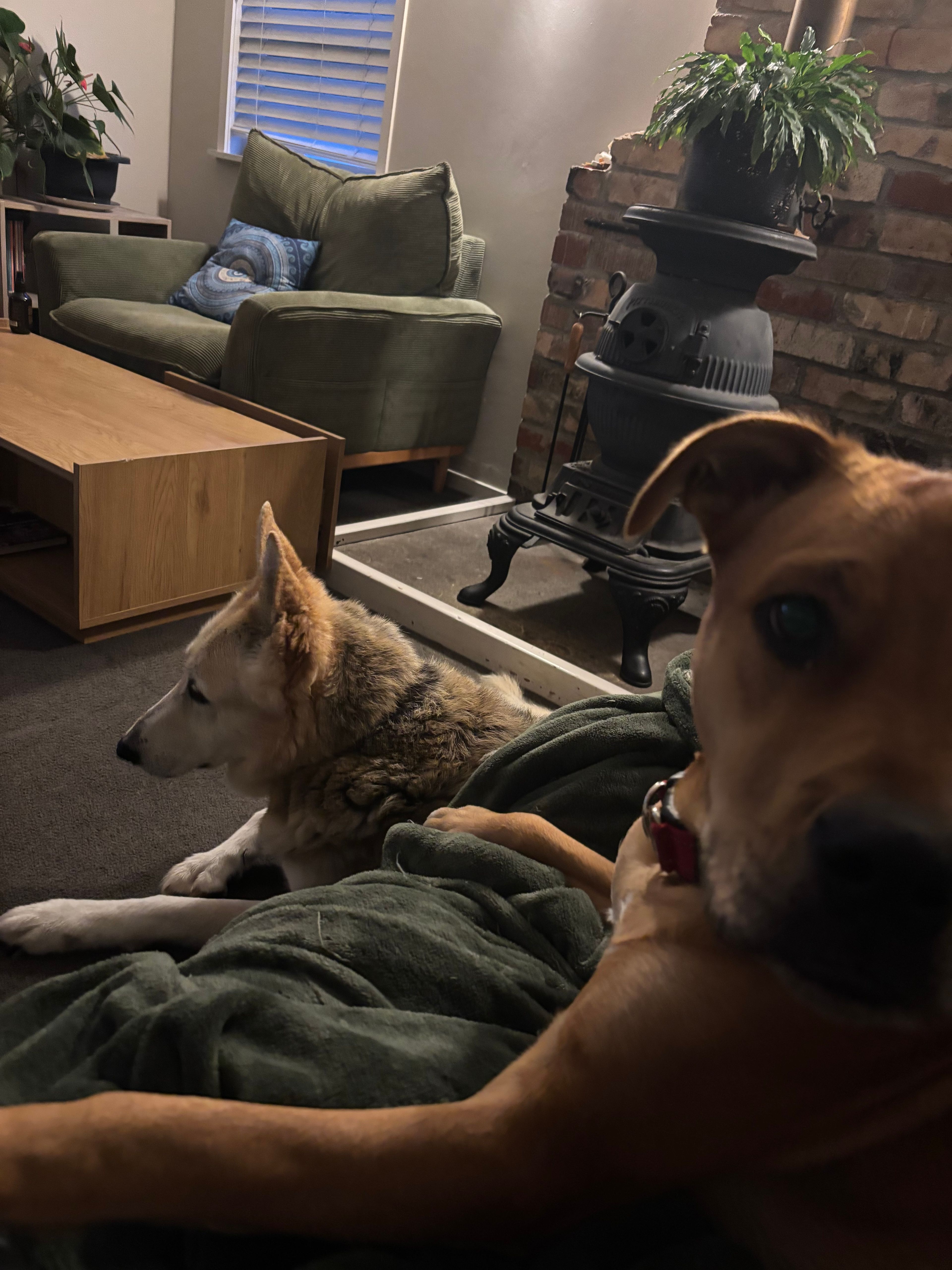 image-14