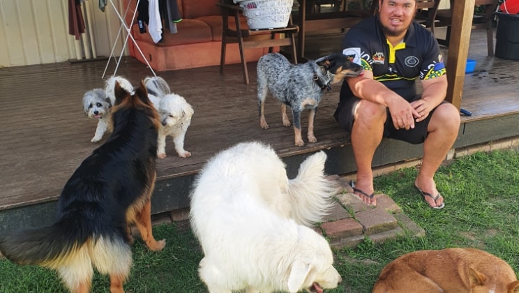 image-4