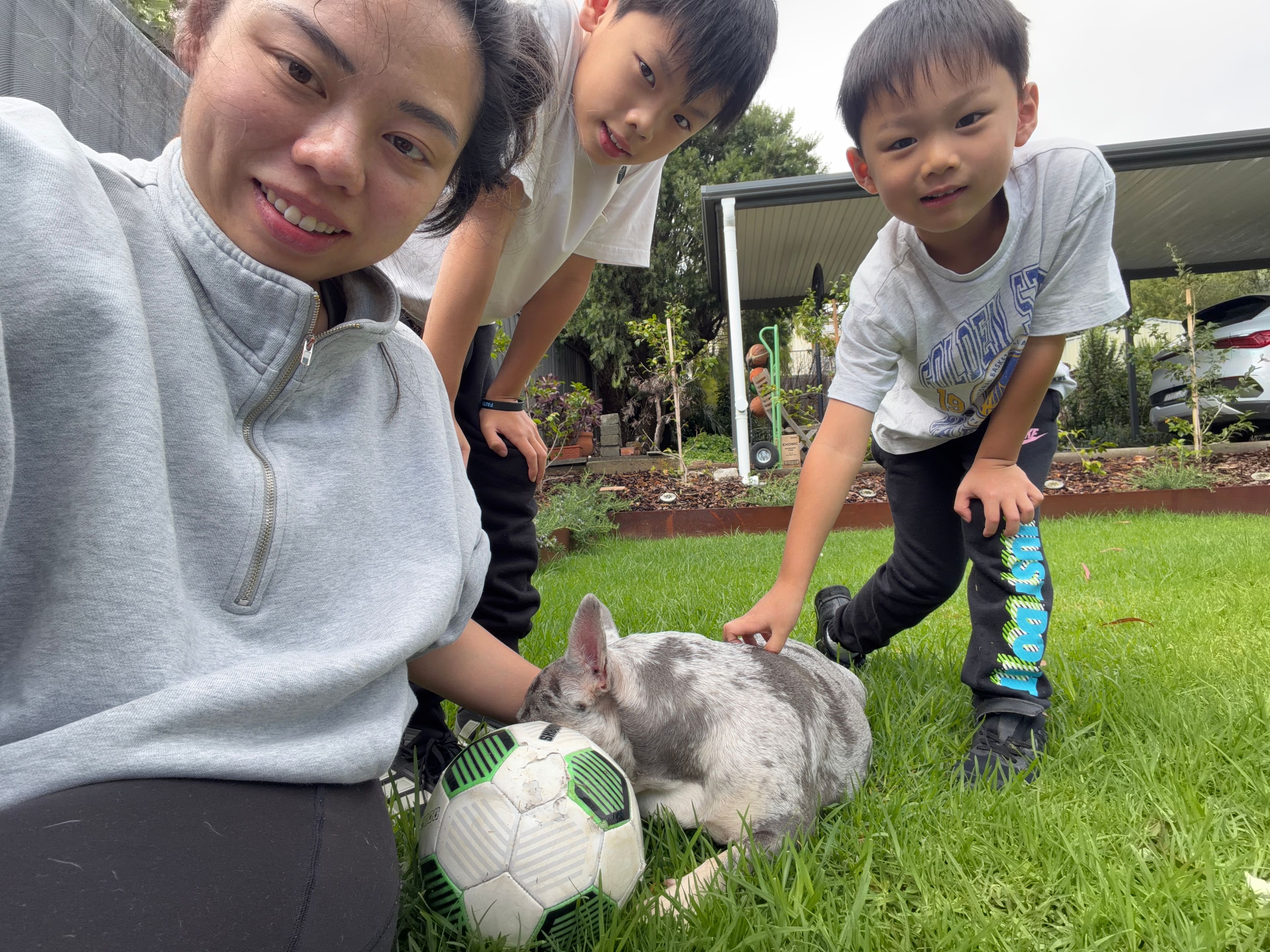 image-11