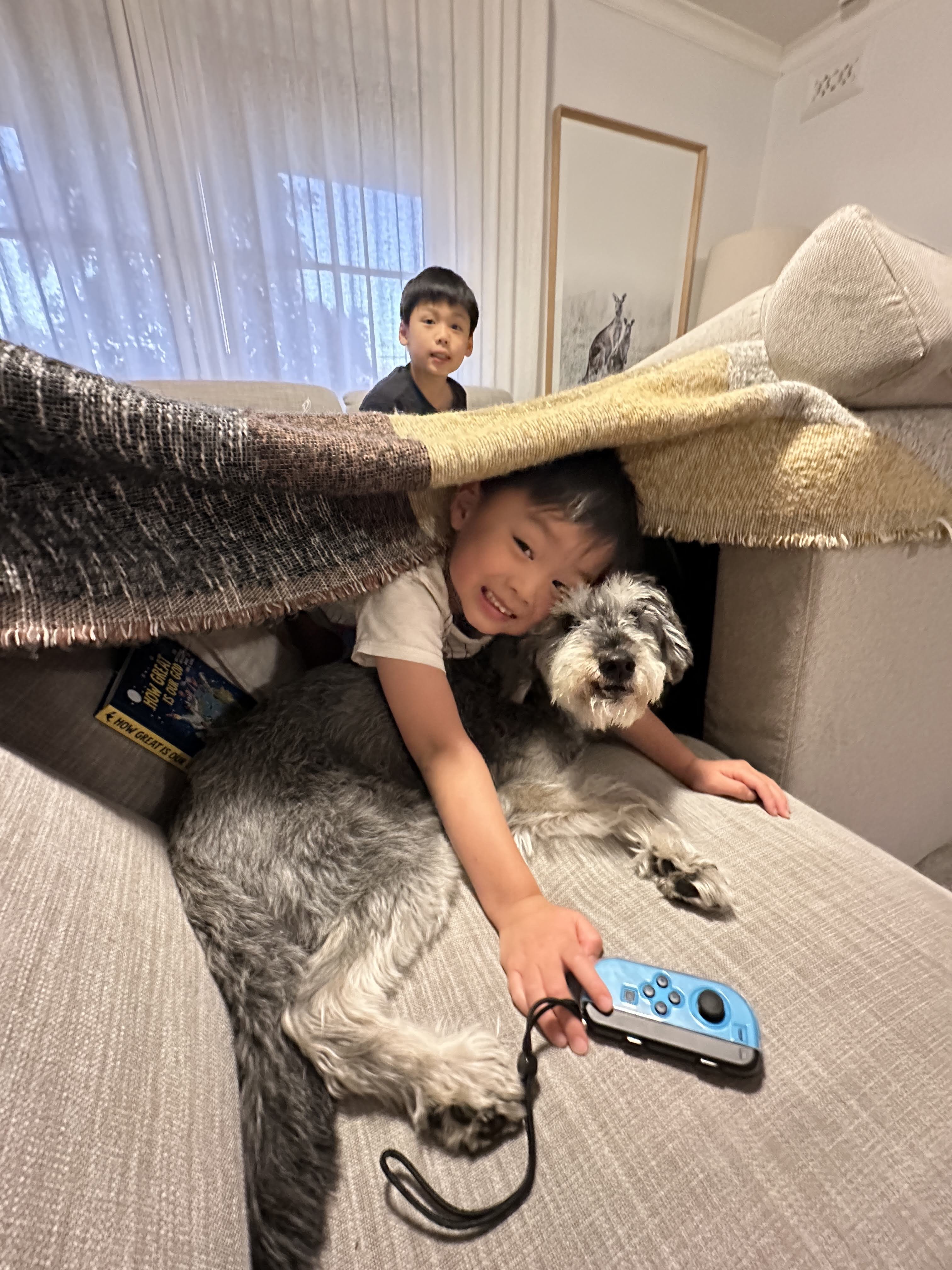 image-7