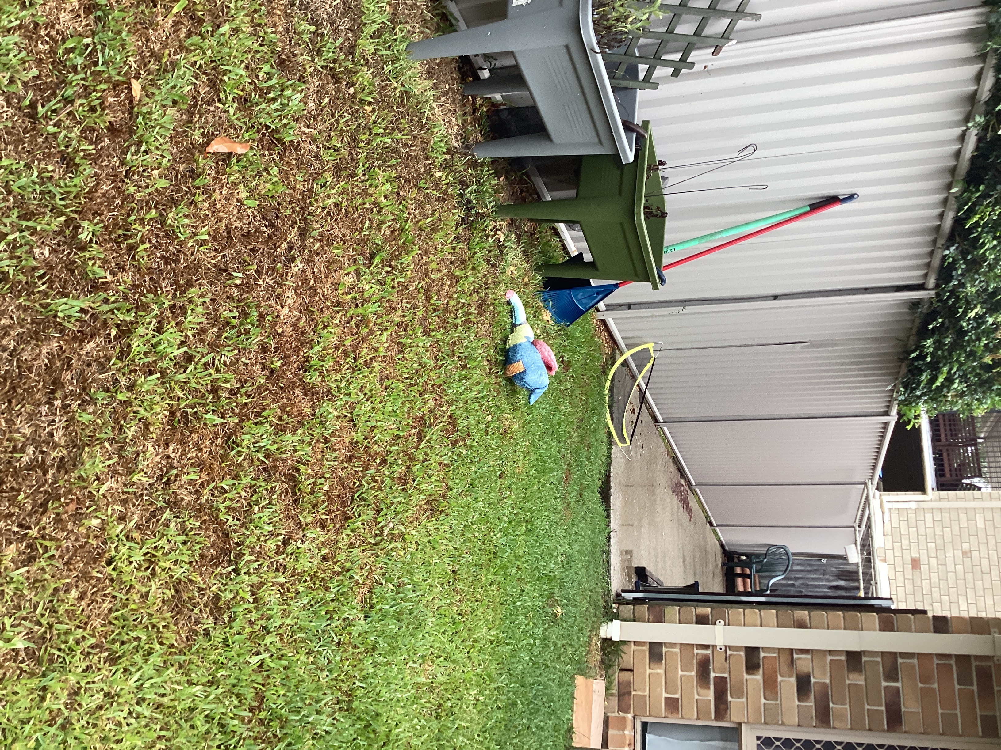 image-7