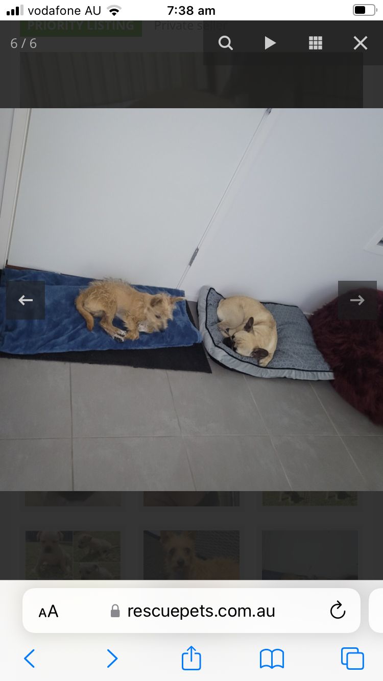 image-13