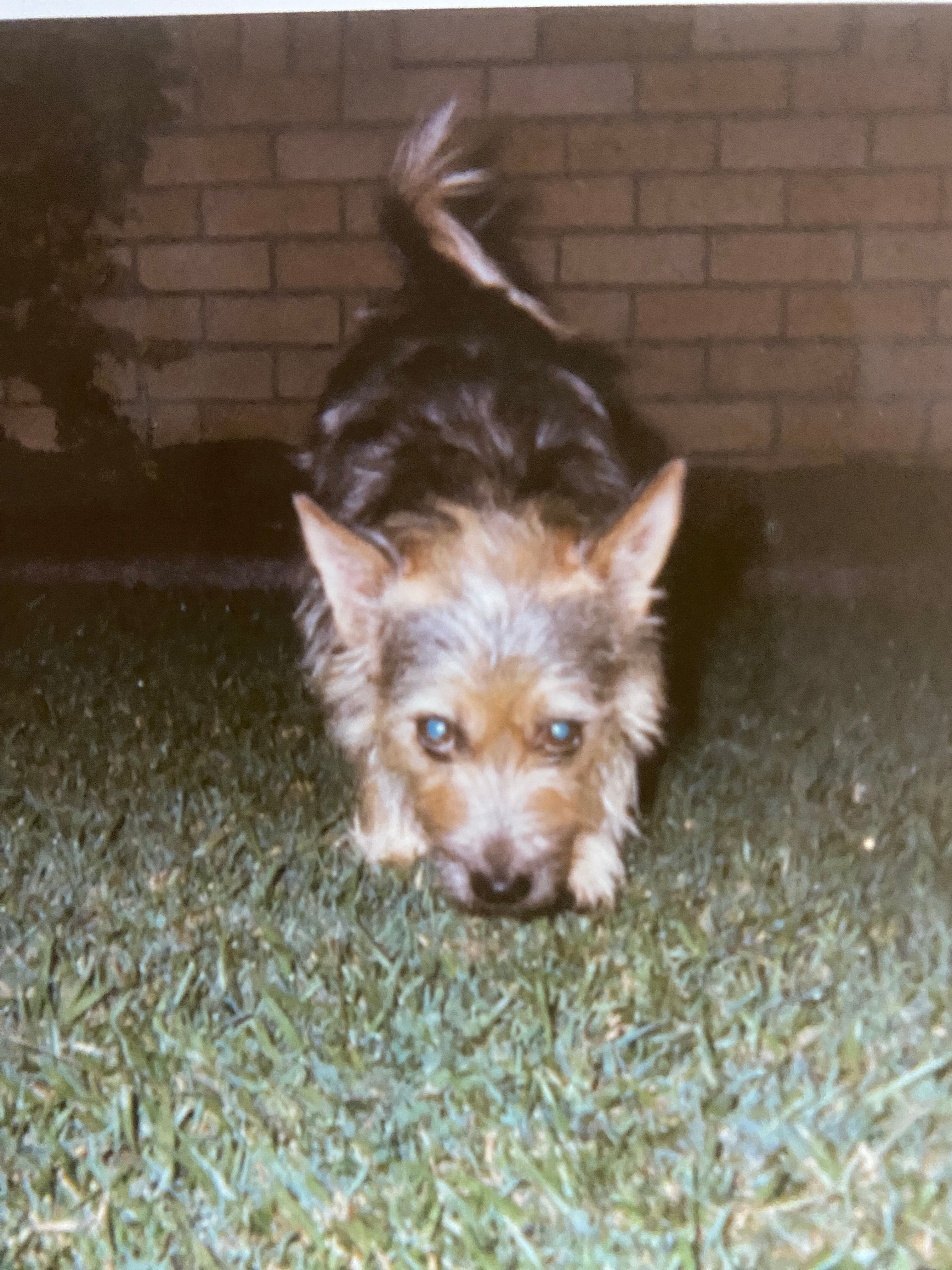 image-11