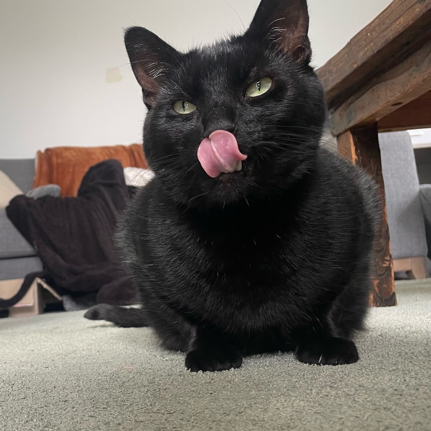 Jeffrey