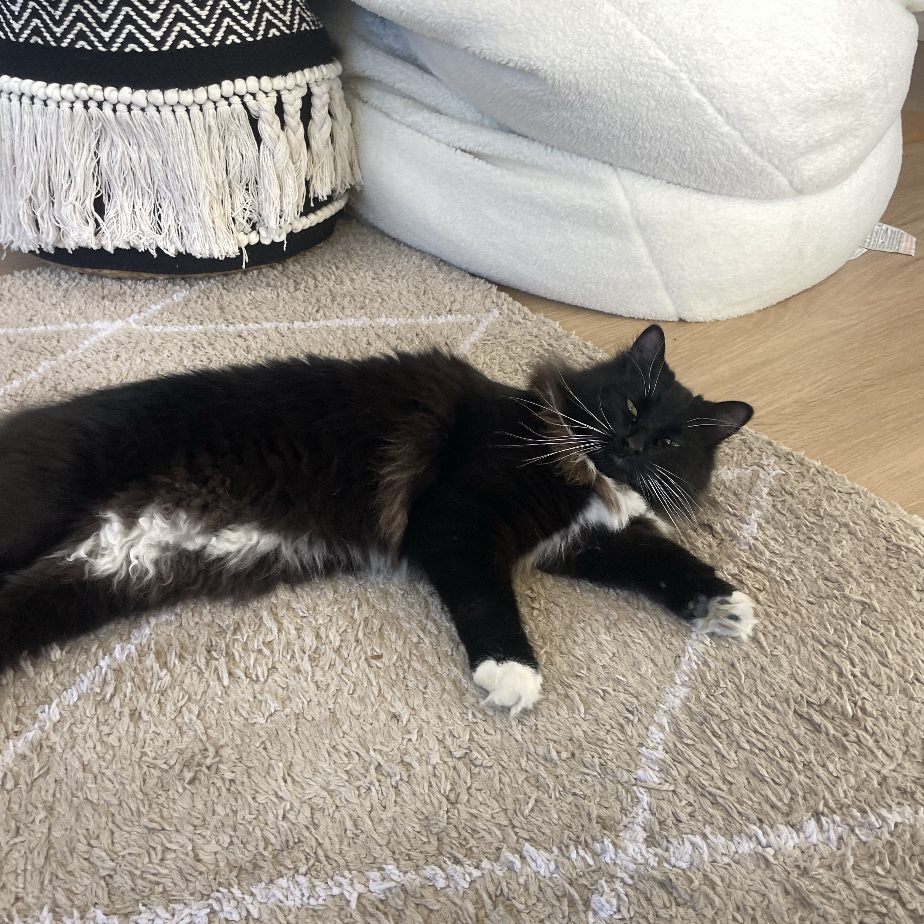 Mowgli