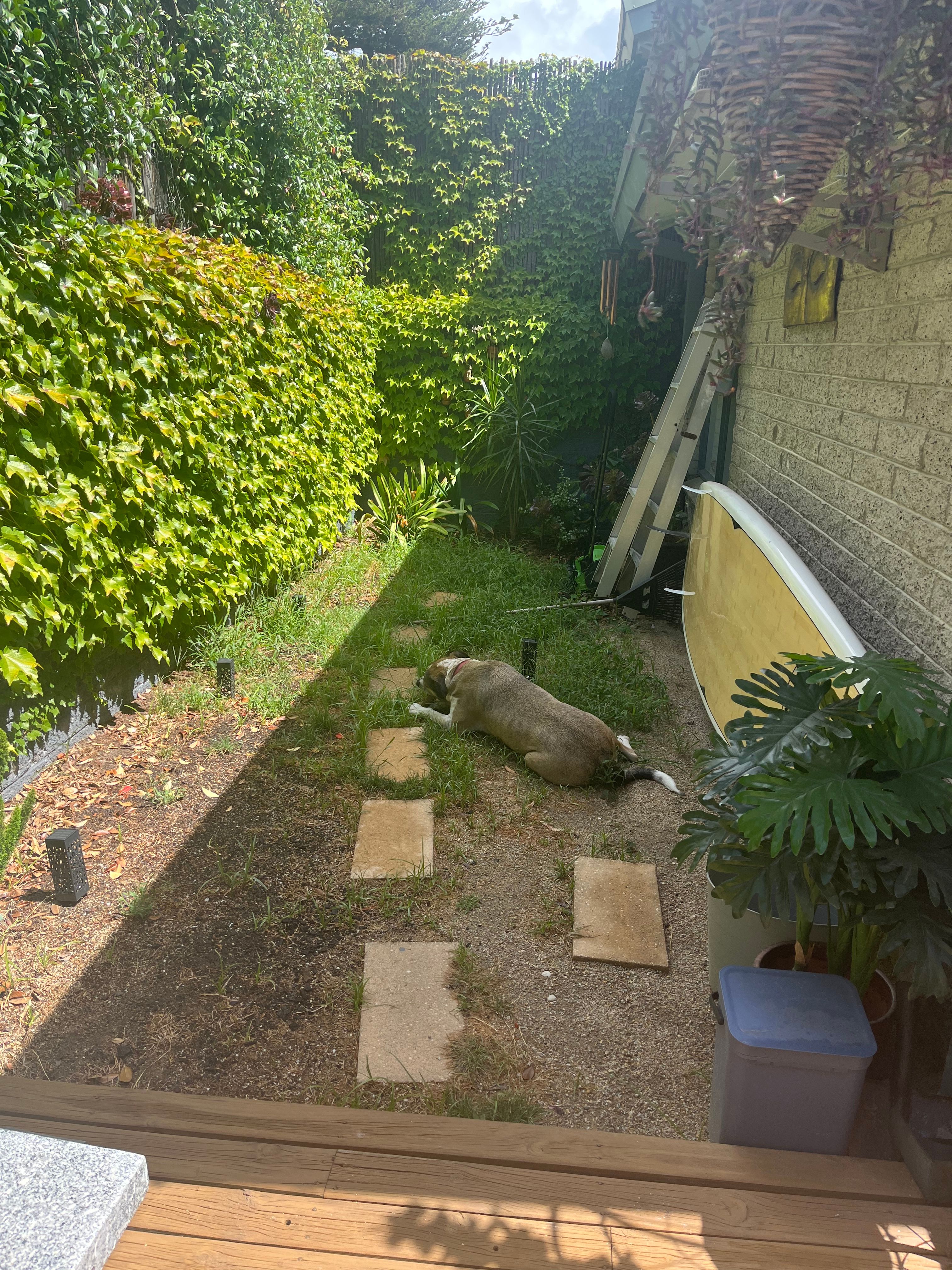 image-28