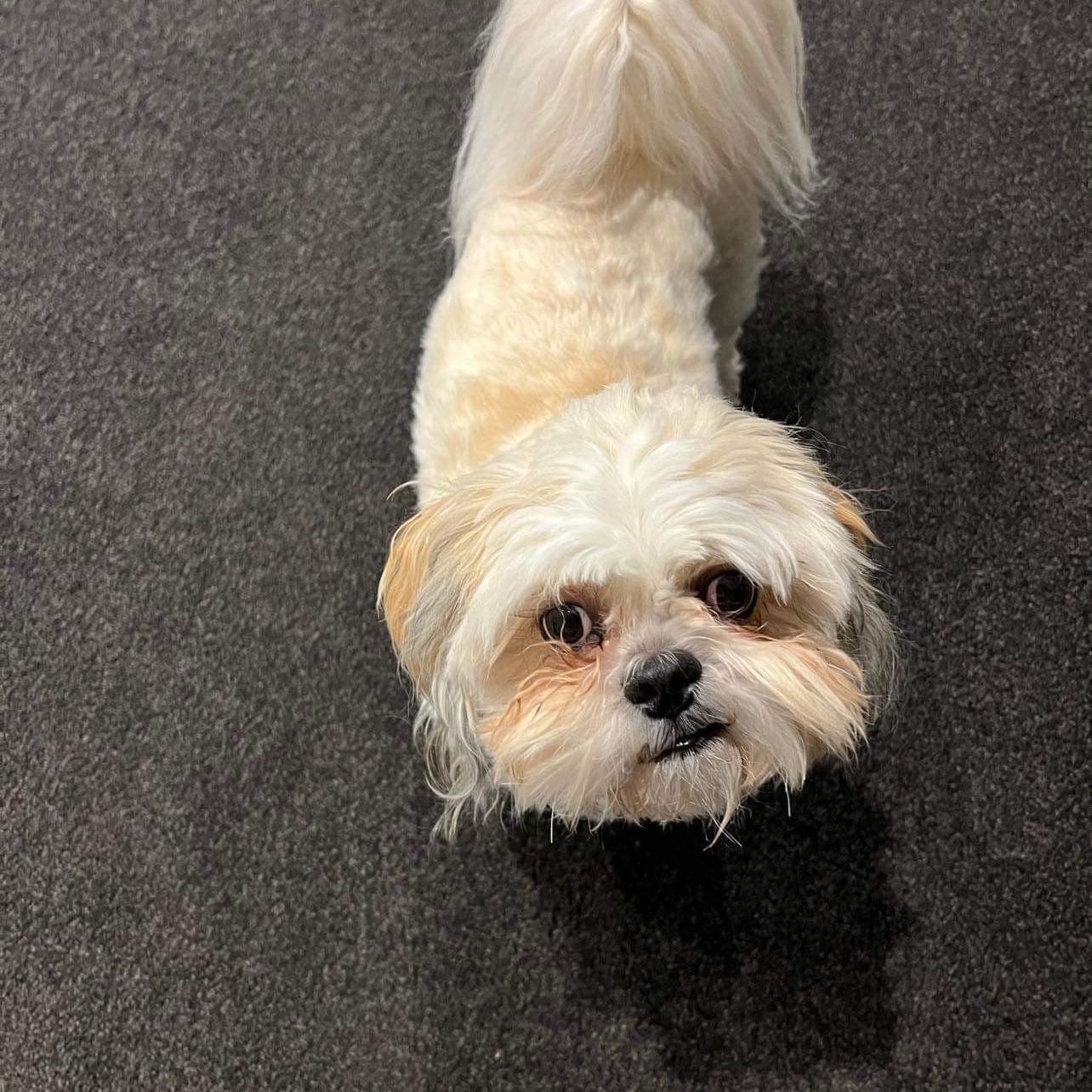 Max