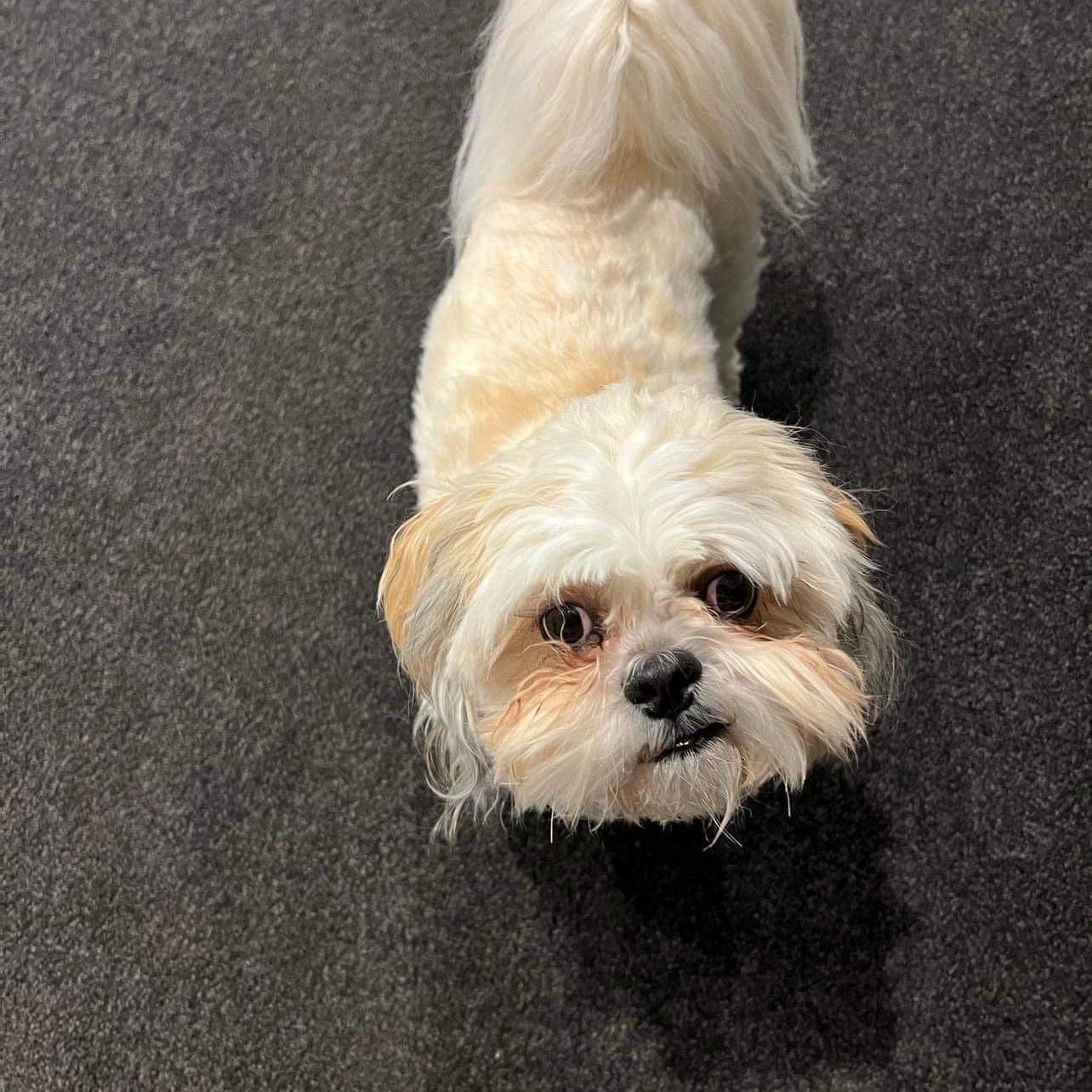 Max