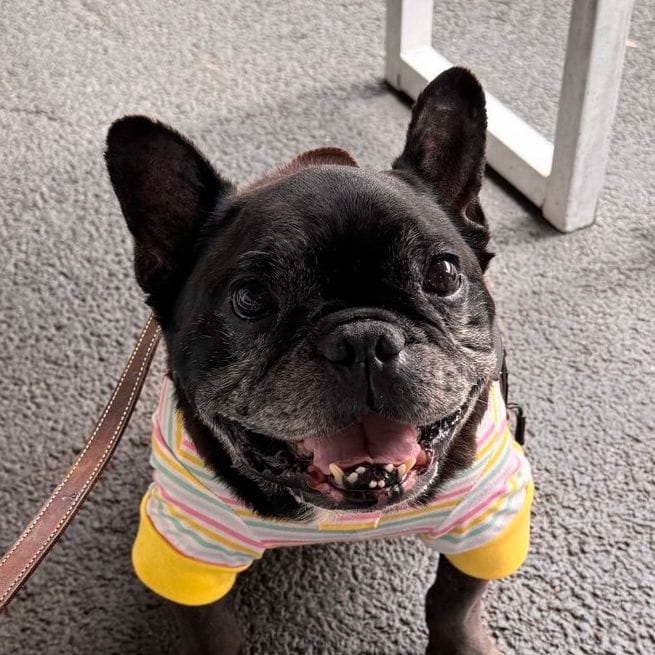 Archibald (Archie)