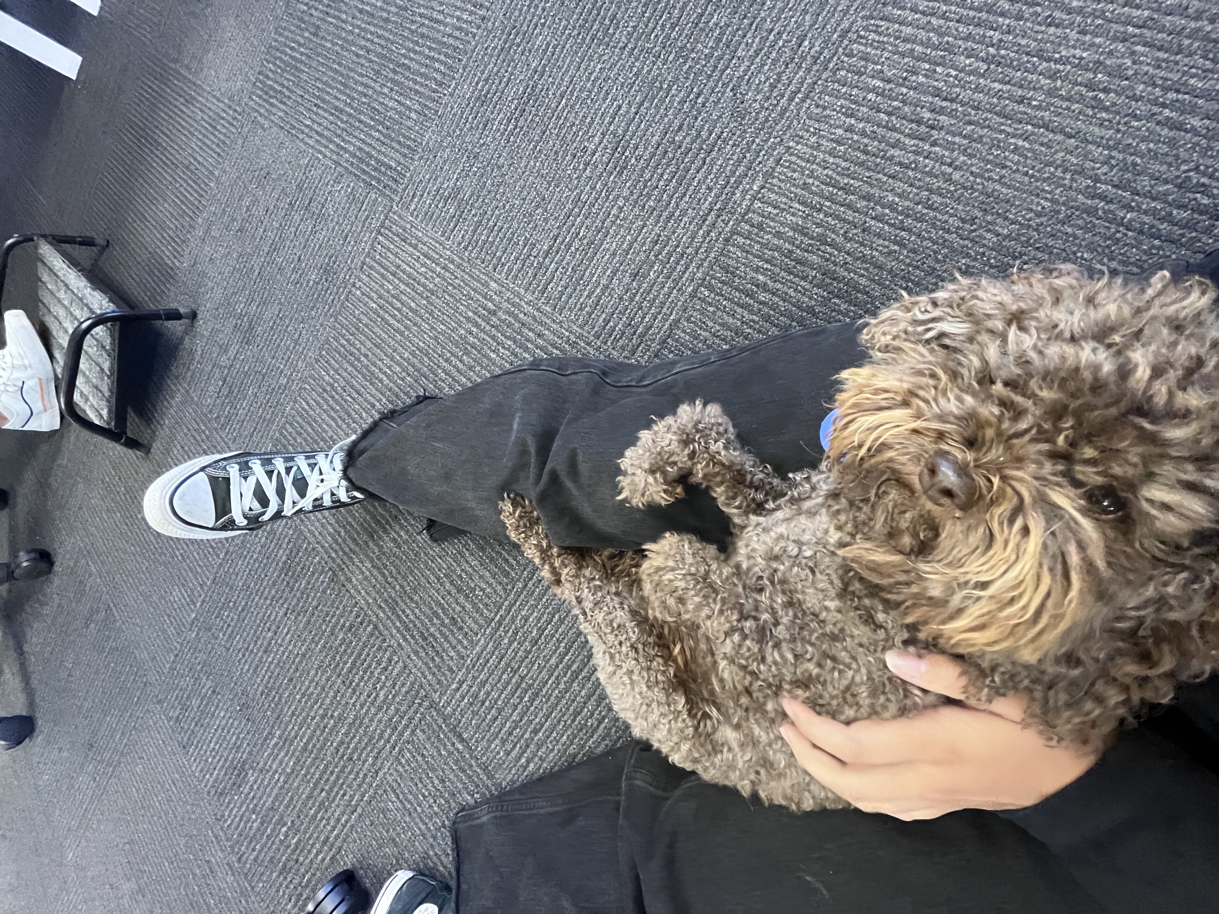 image-9