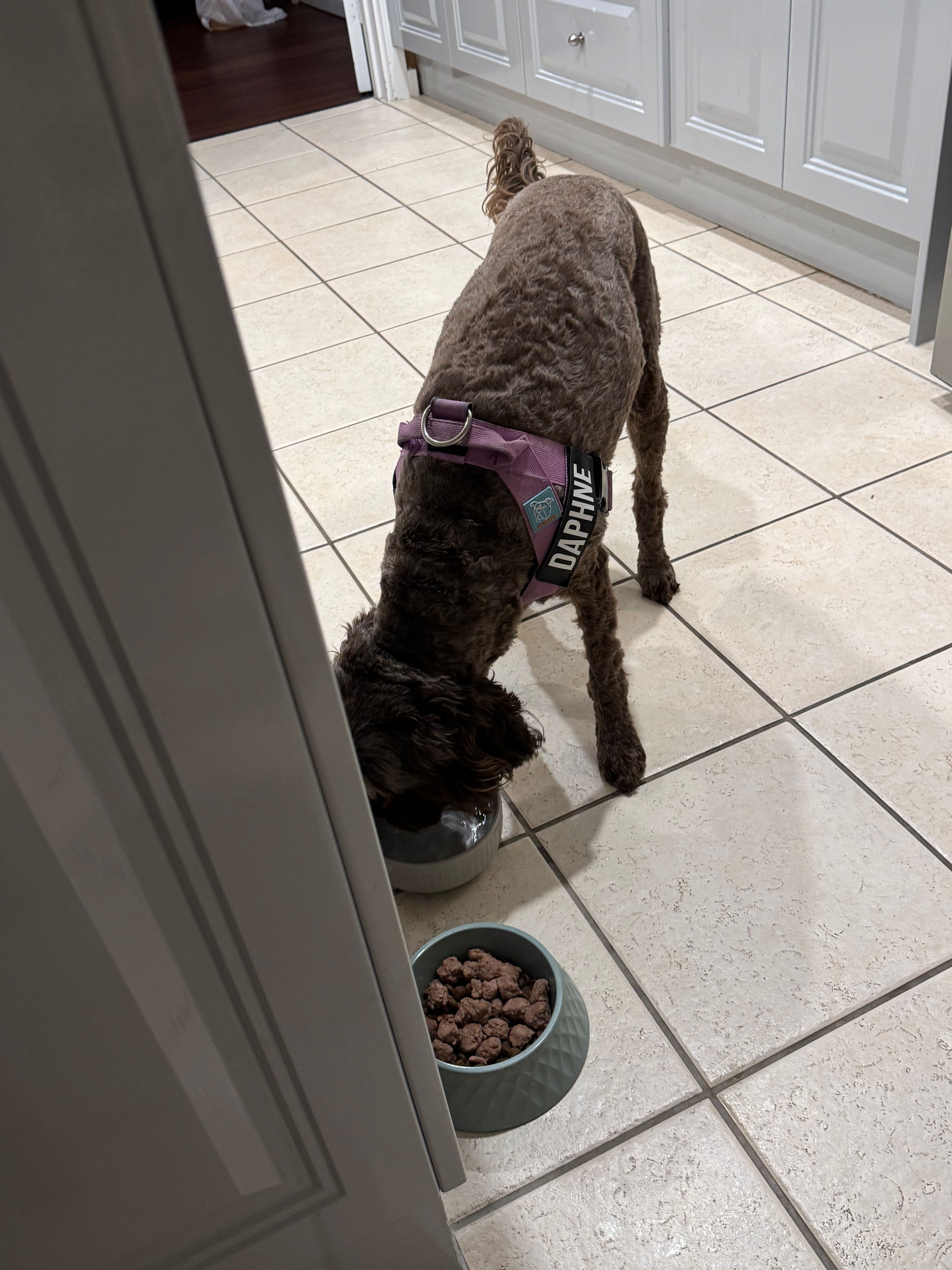 image-28