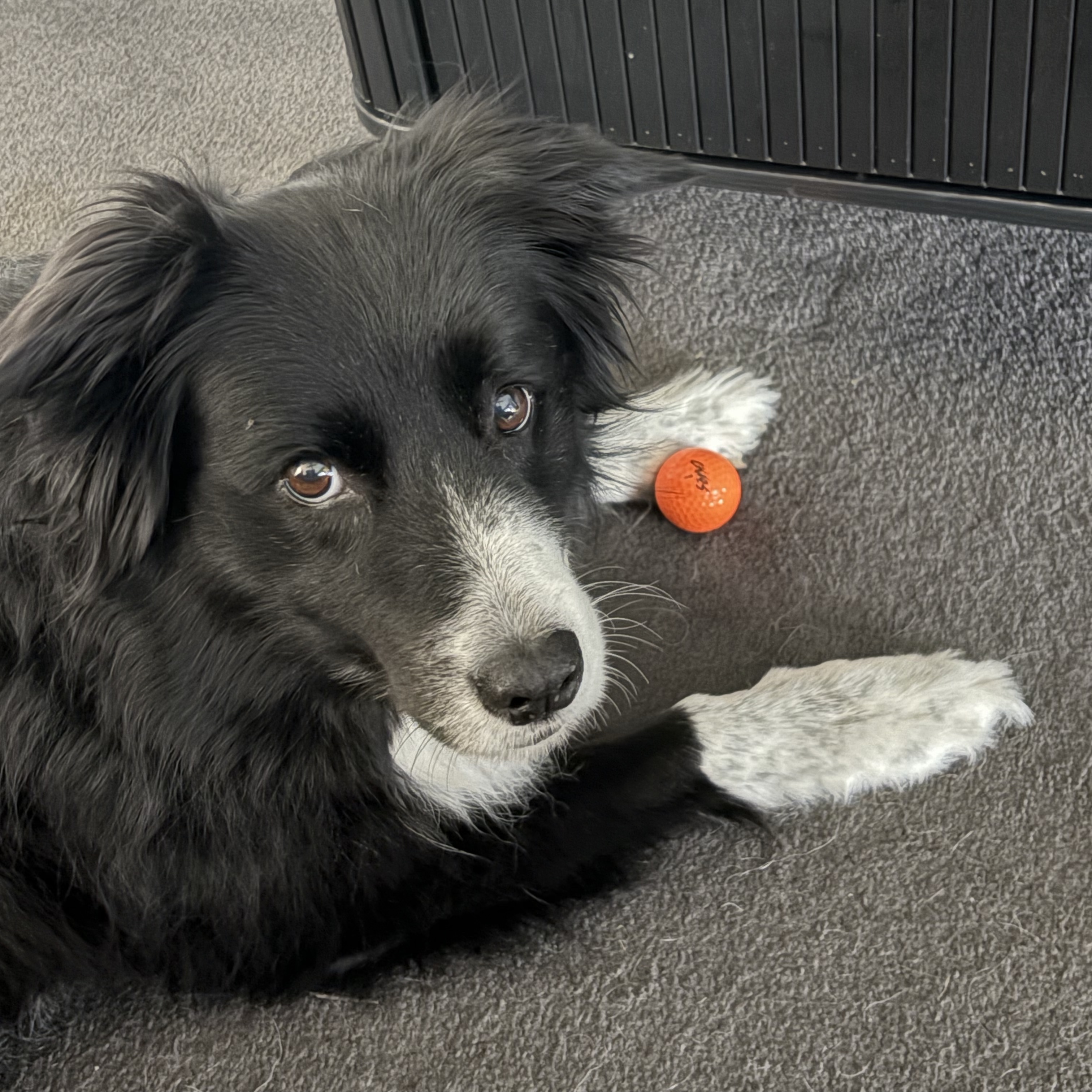Skye