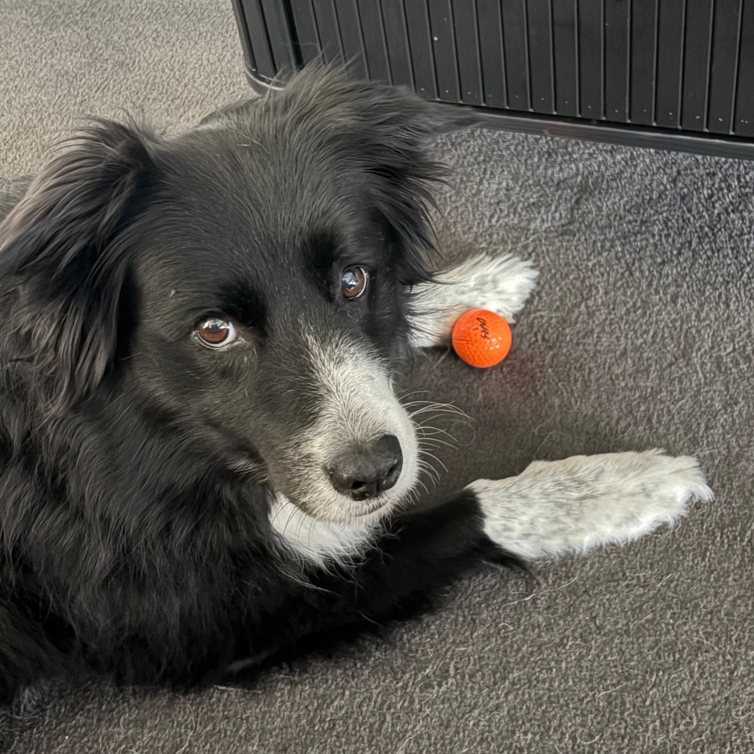 Skye