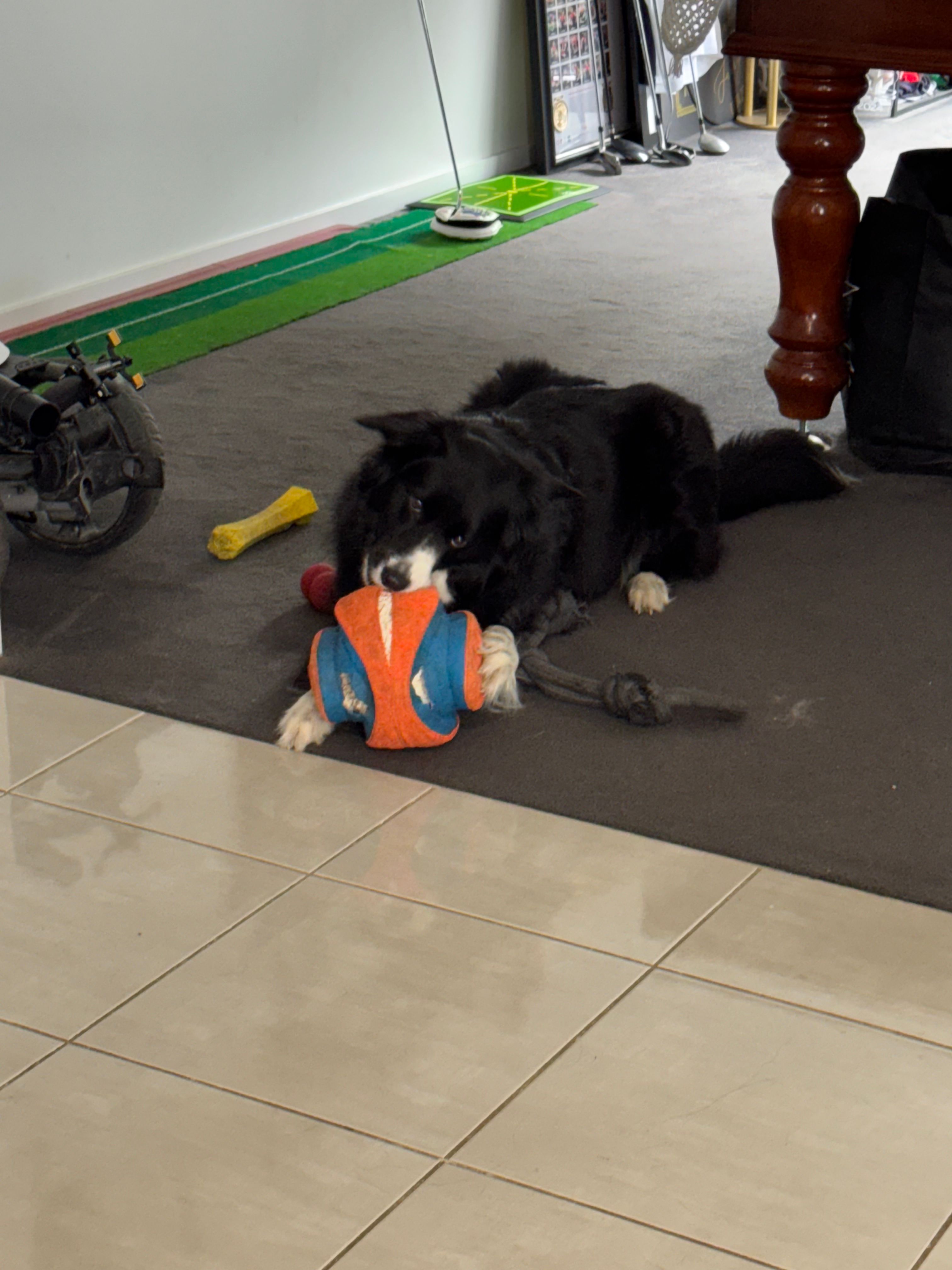 image-10