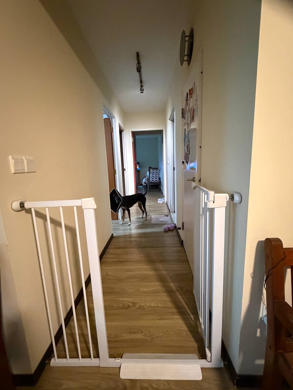image-16