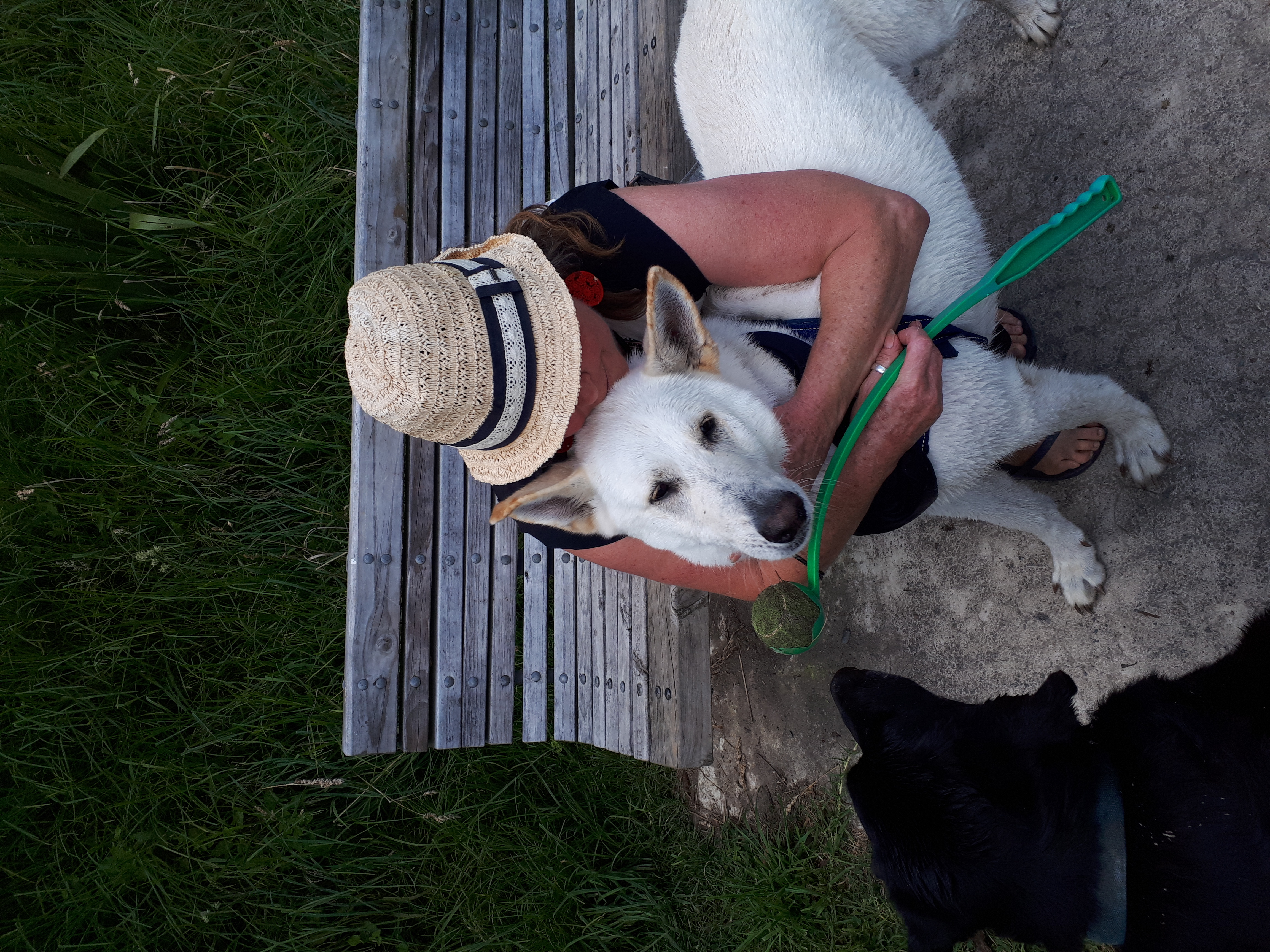 image-20