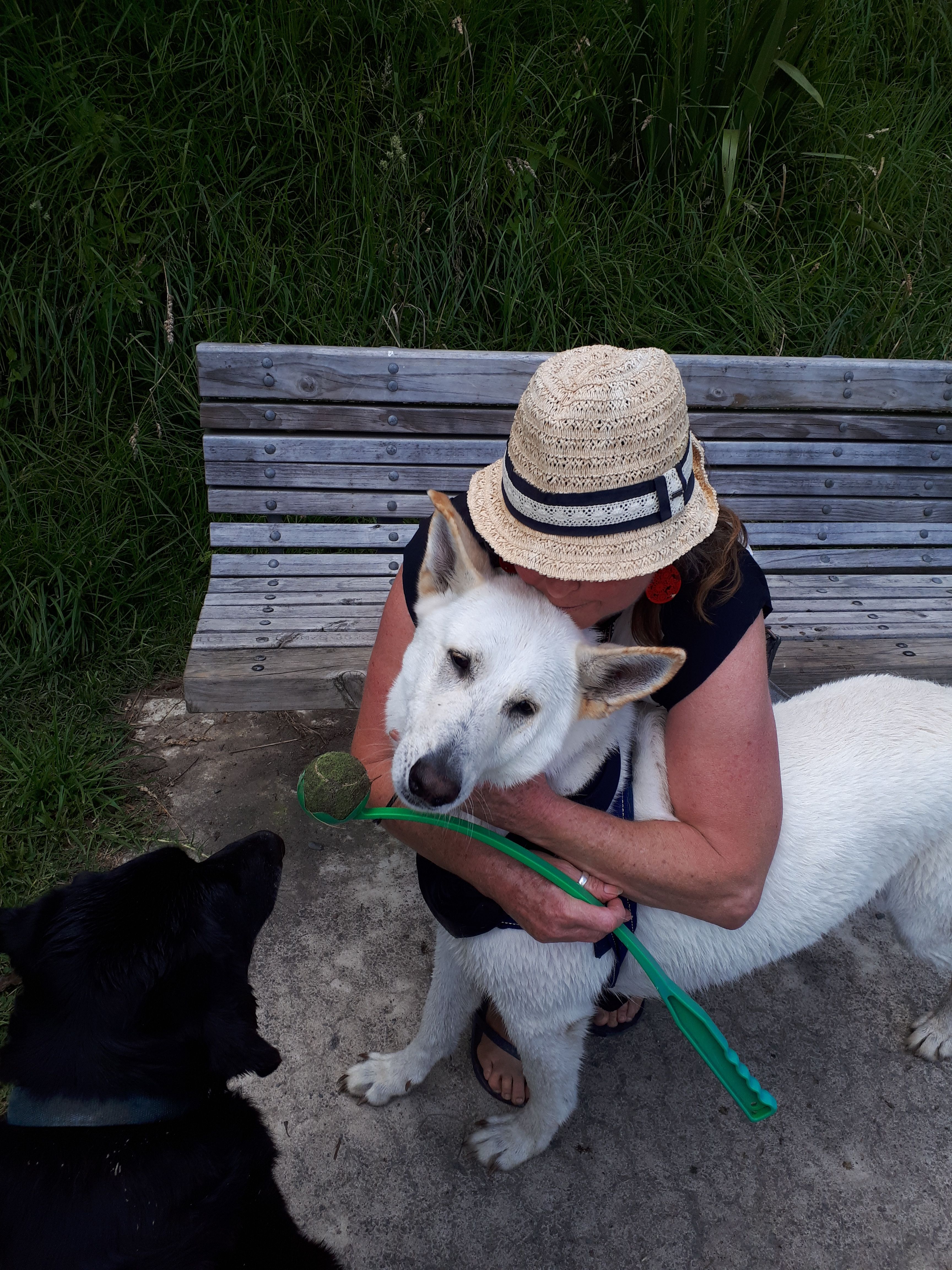 image-20