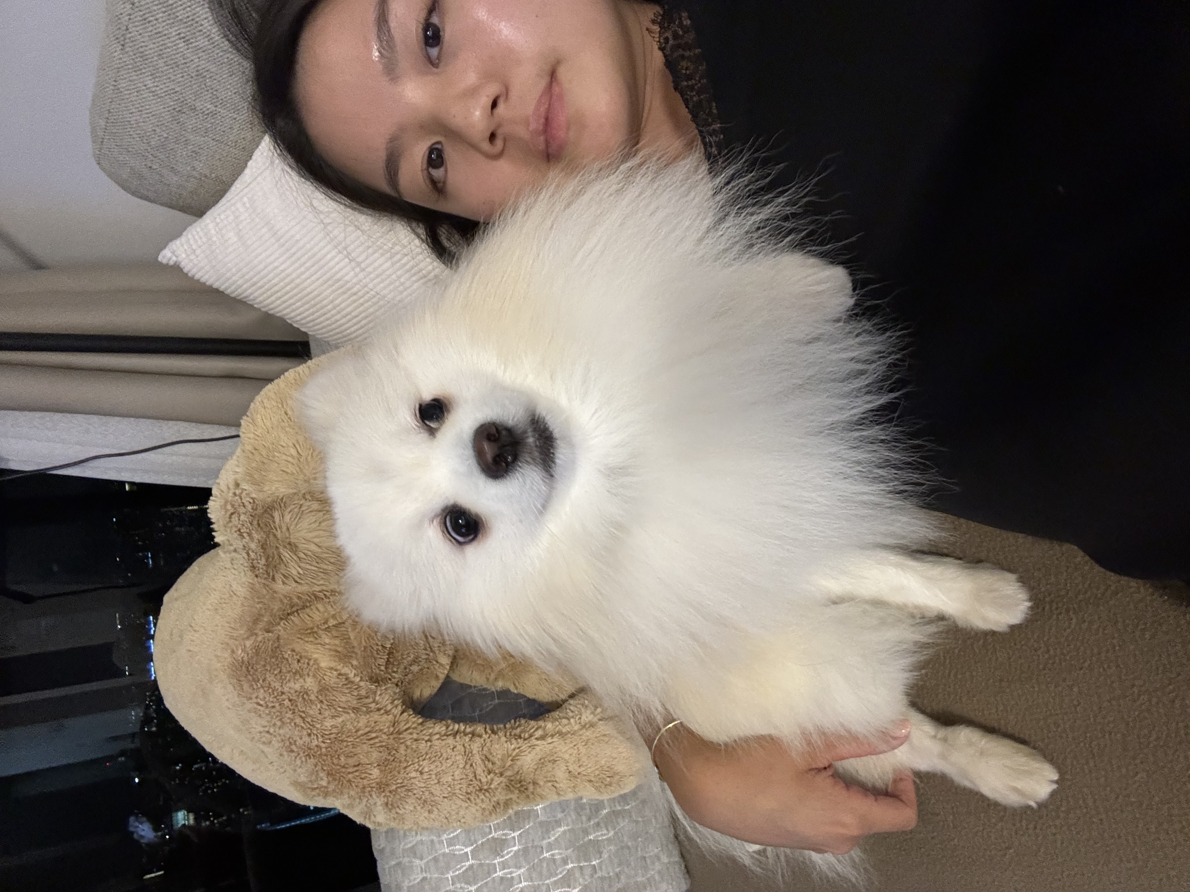 image-6
