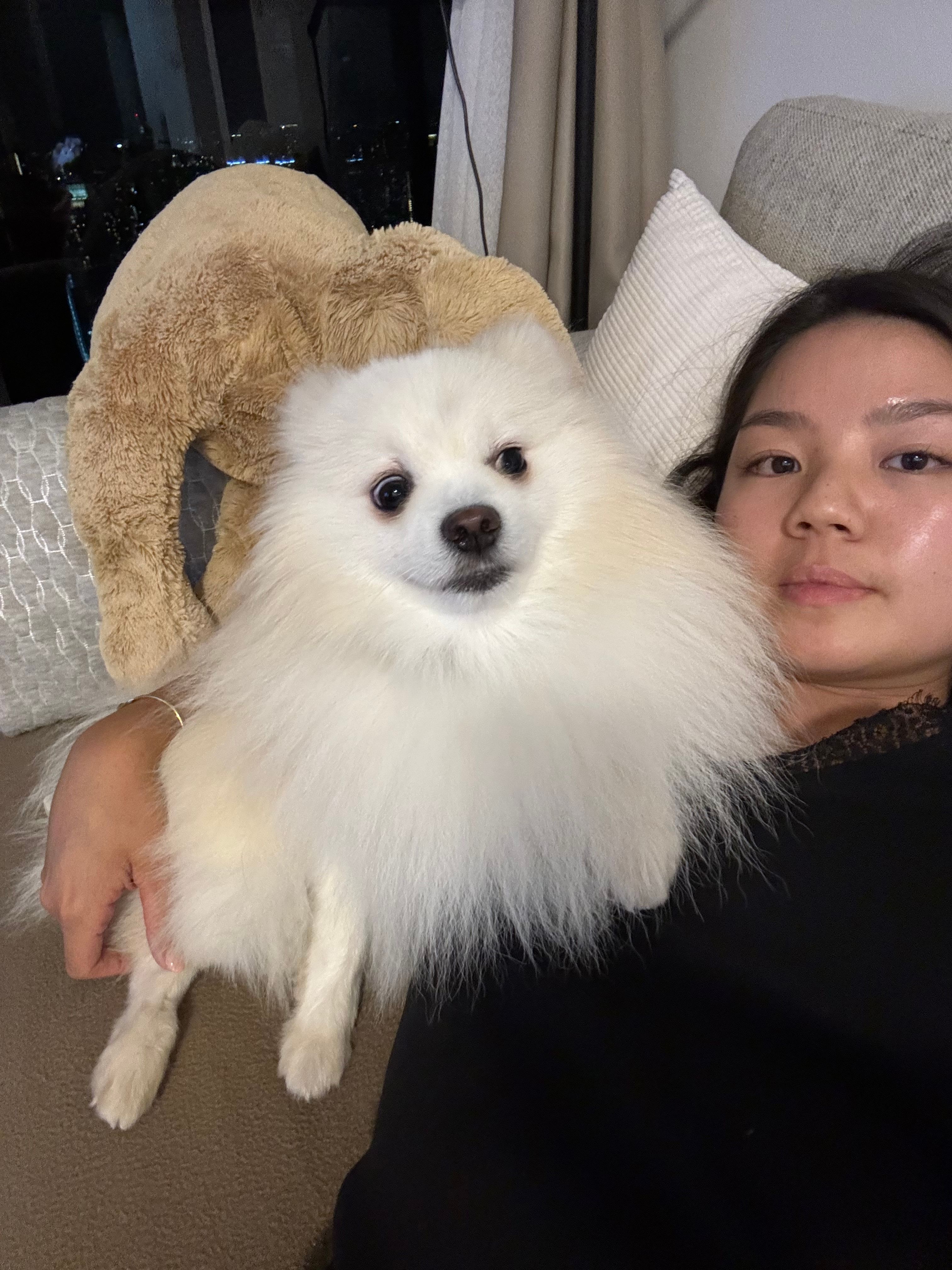 image-6