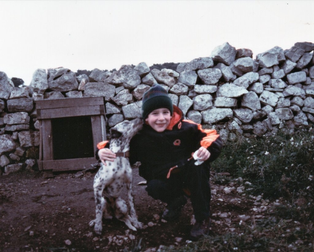 image-1