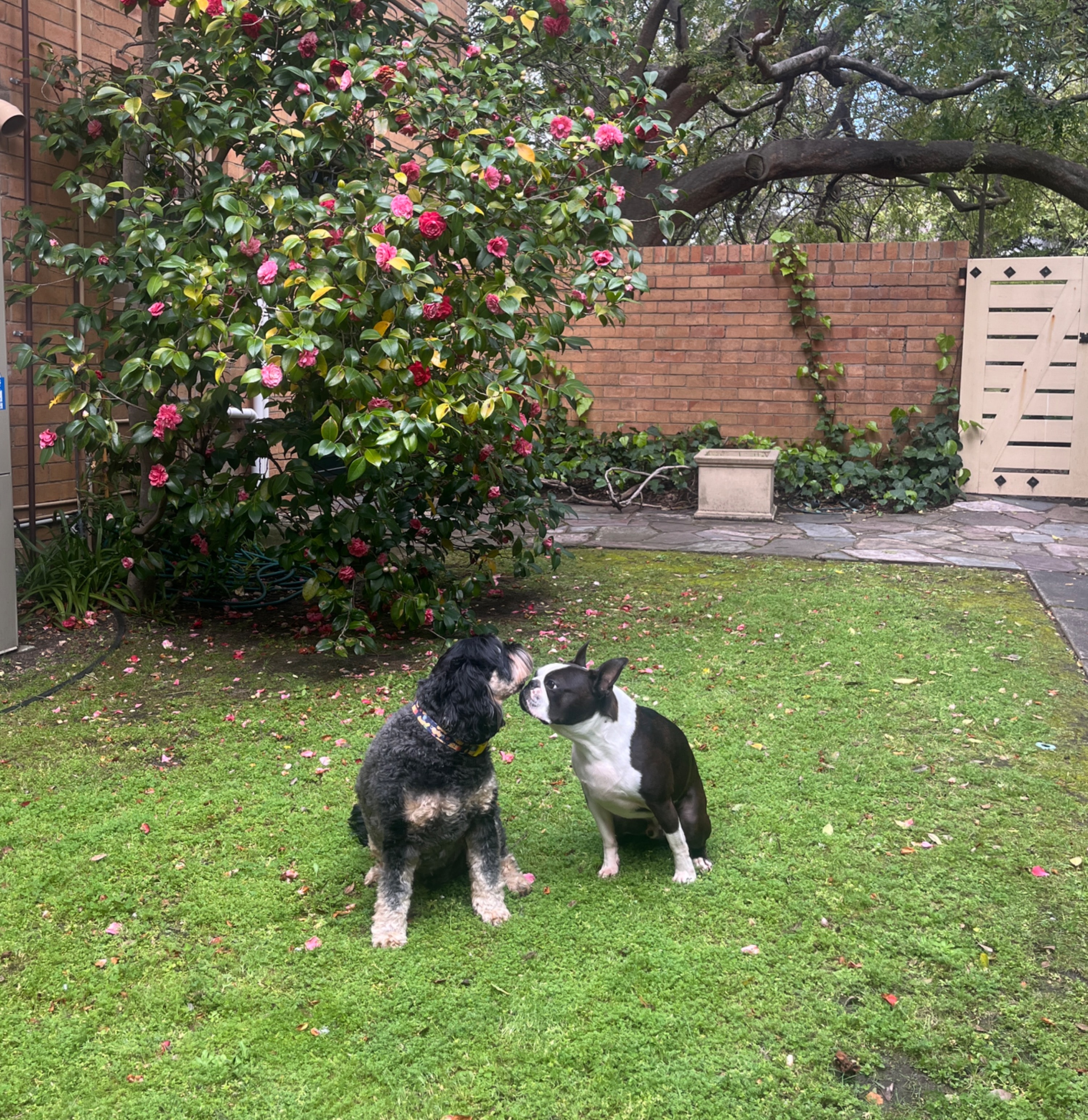 image-10