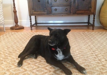 Izzie