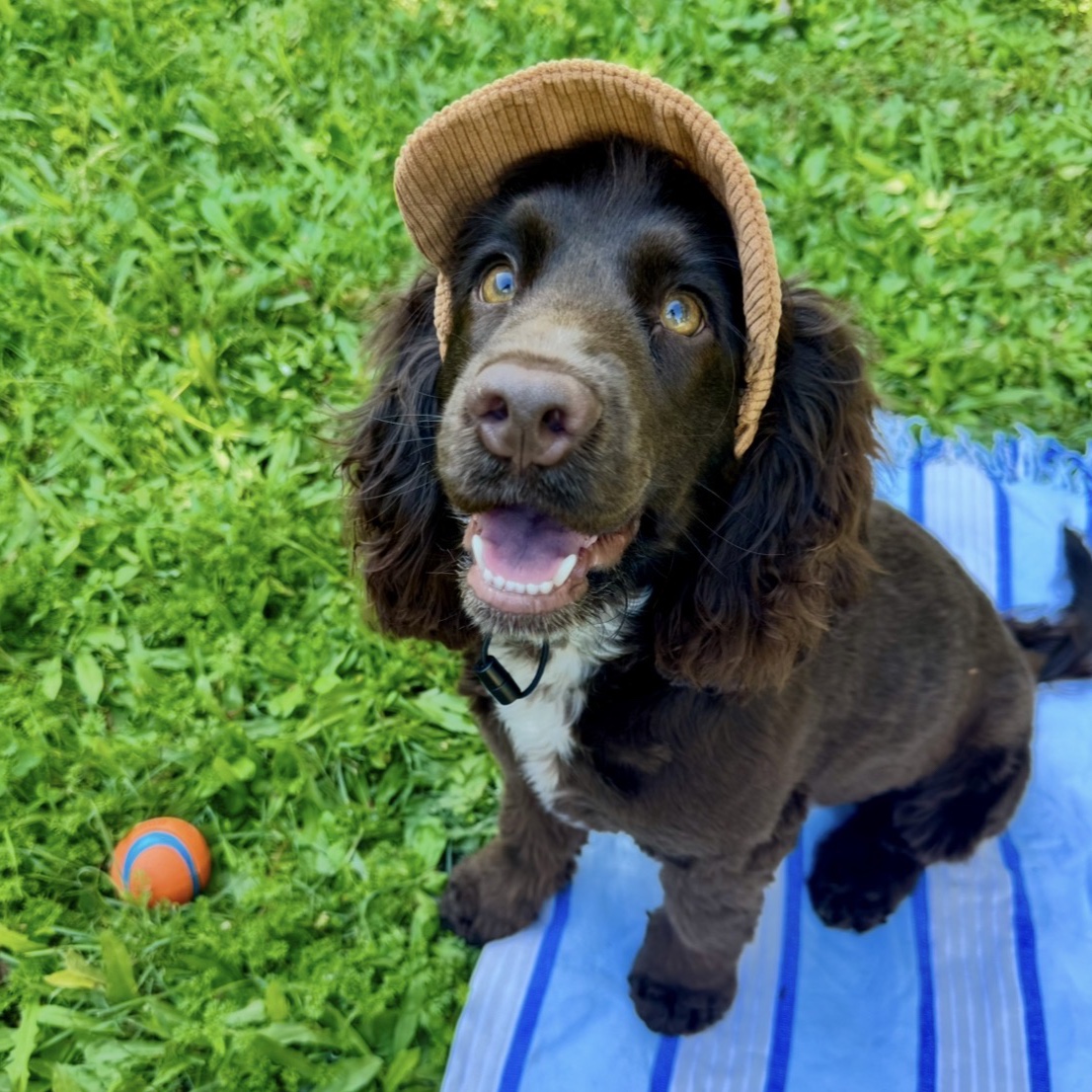 Charlie 