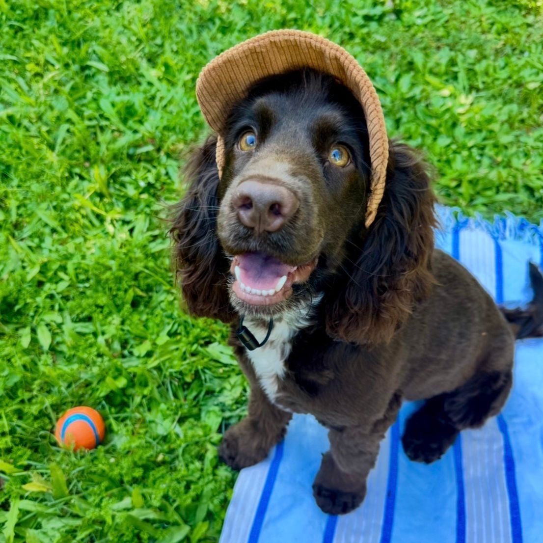 Charlie