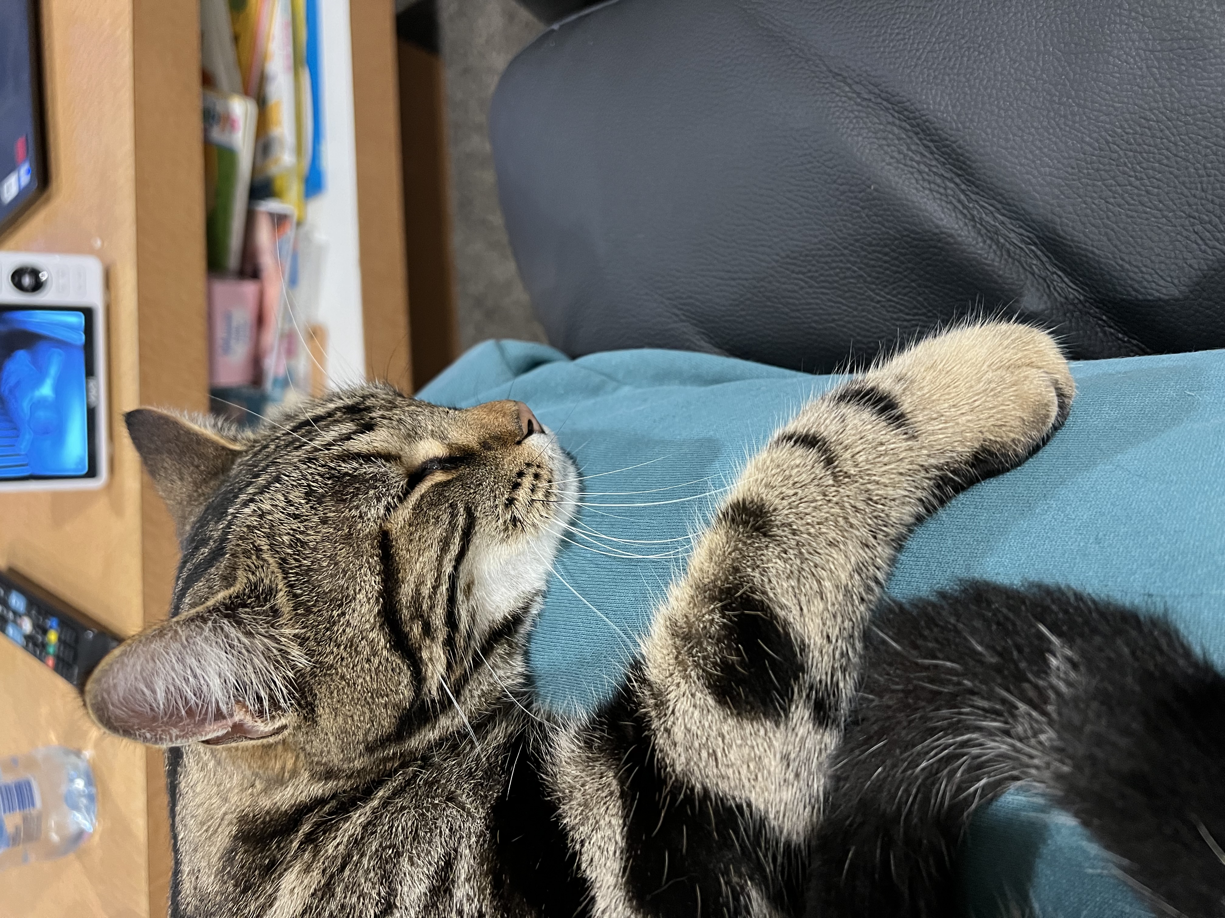 image-6