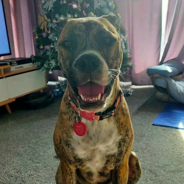 Coco