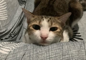 Sally