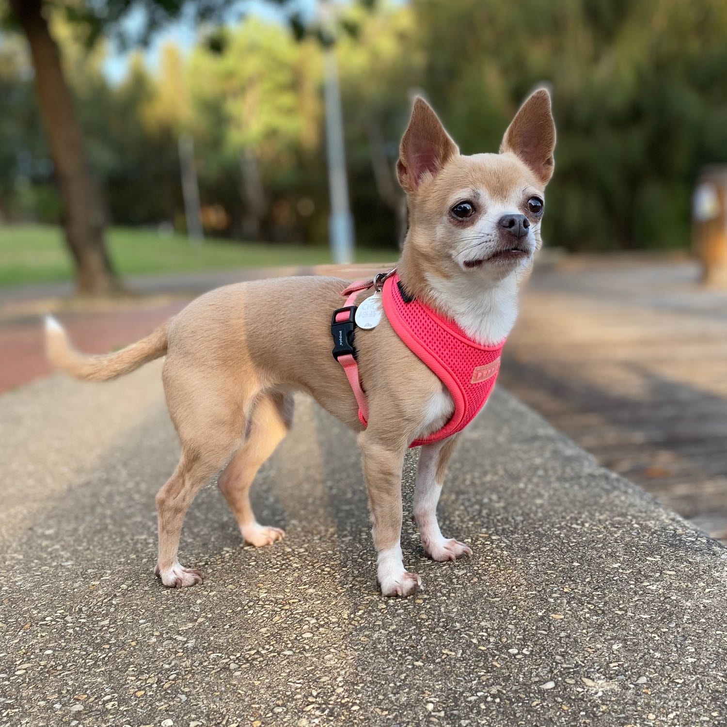 Chloe
