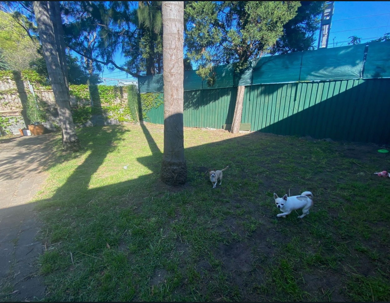 image-14